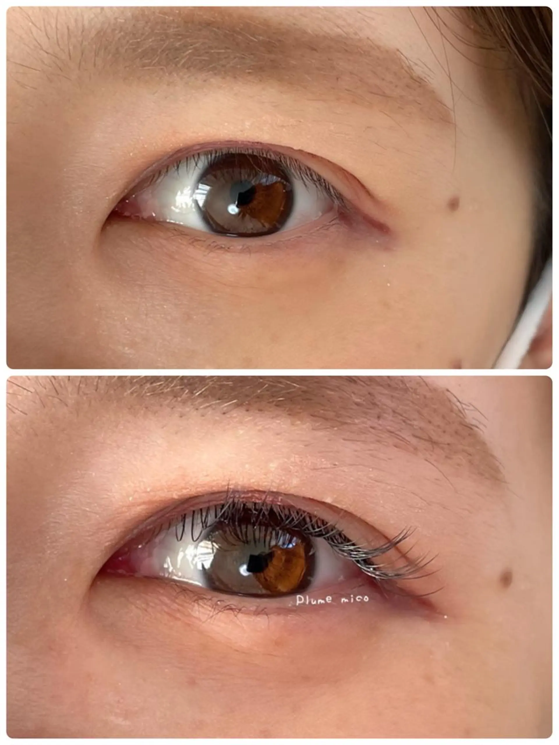 マツエク・マツパ マツエク Plume micoのマツエク・マツパデザイン