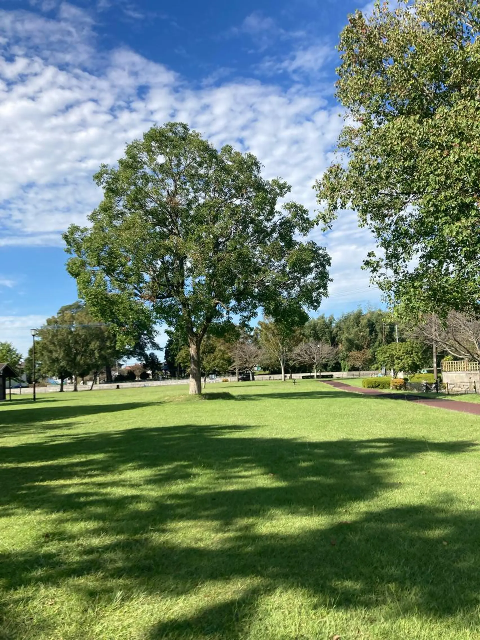 フェイシャルサロン ビアンカガーデンのエステ・リラクイメージ