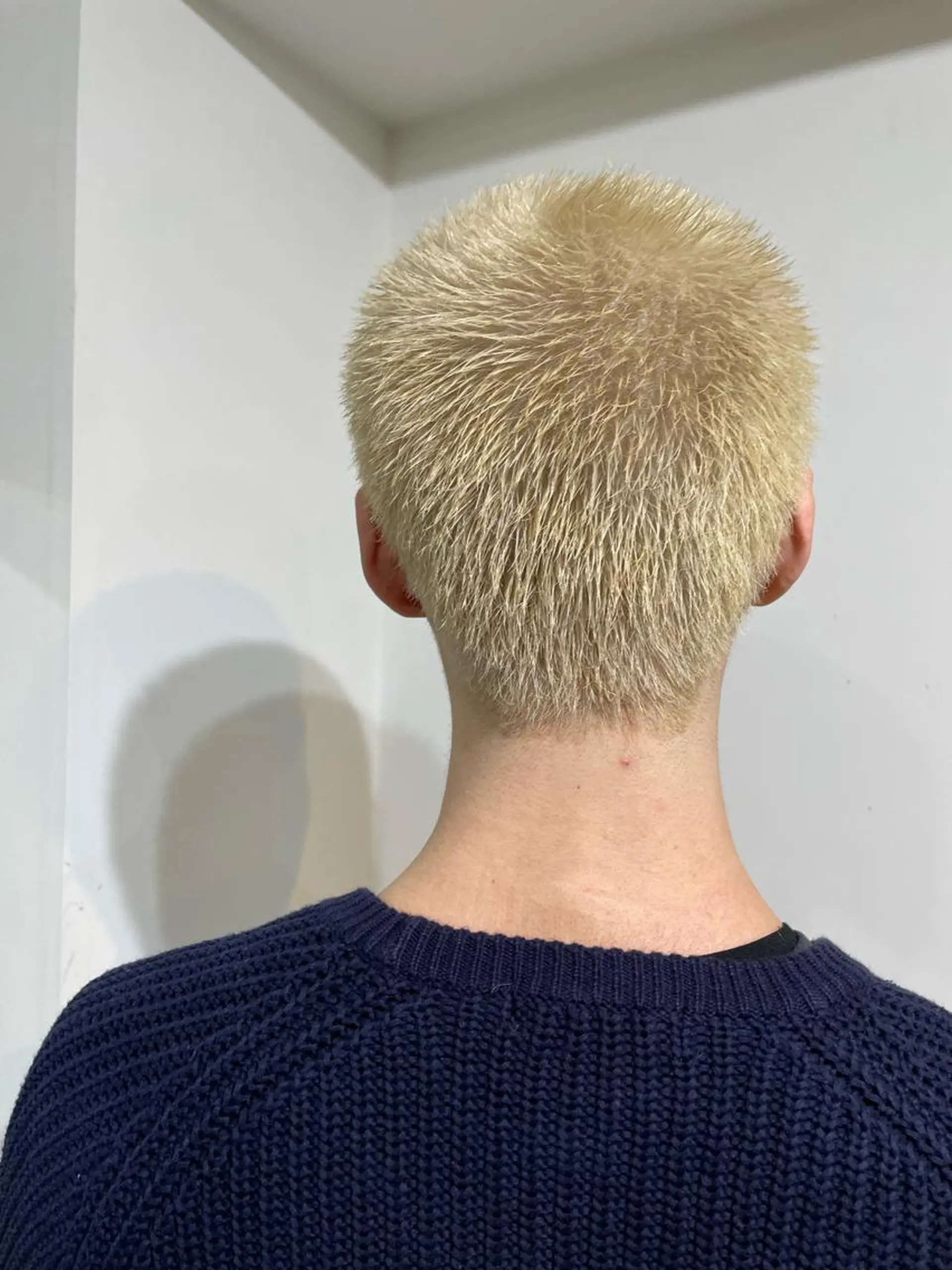 ショート 🐬脱白髪染めカラー 清水大世🐬のヘアスタイル