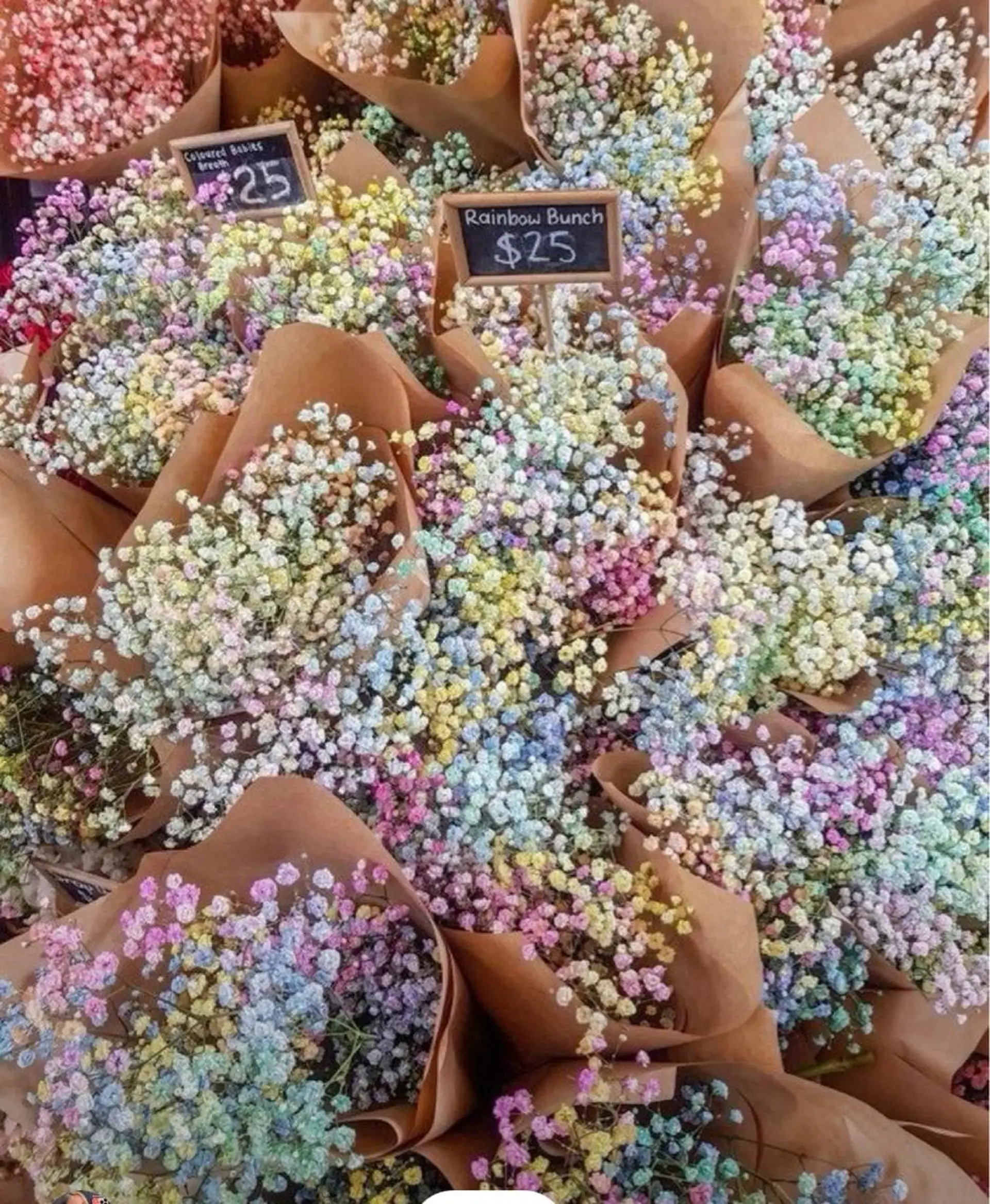 Bless hair &spa所属・🫧縮毛矯正／カラー ／bless松浦🫧のヘアスタイル