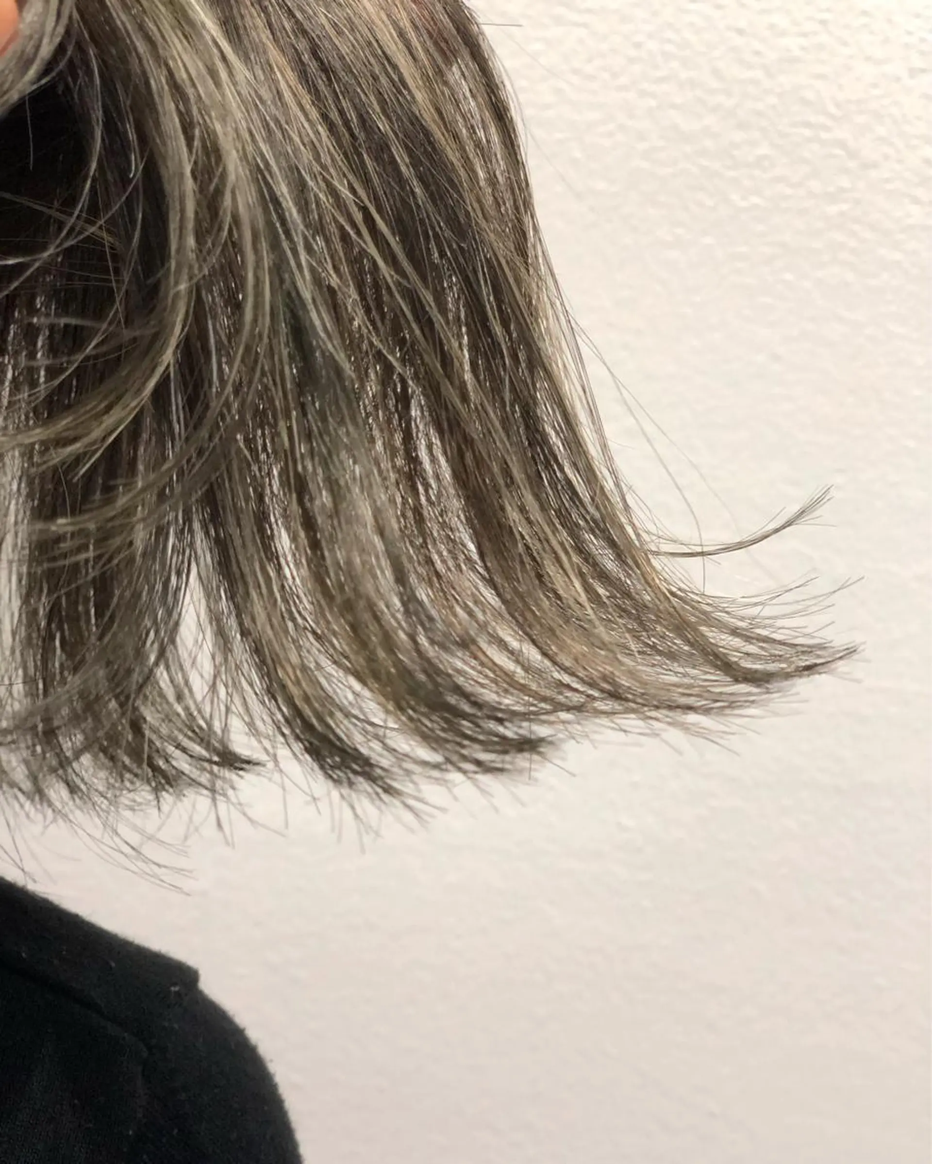 ショート カラー ハイライトカラー ハイライト Tao所属・藤川 大智のヘアスタイル