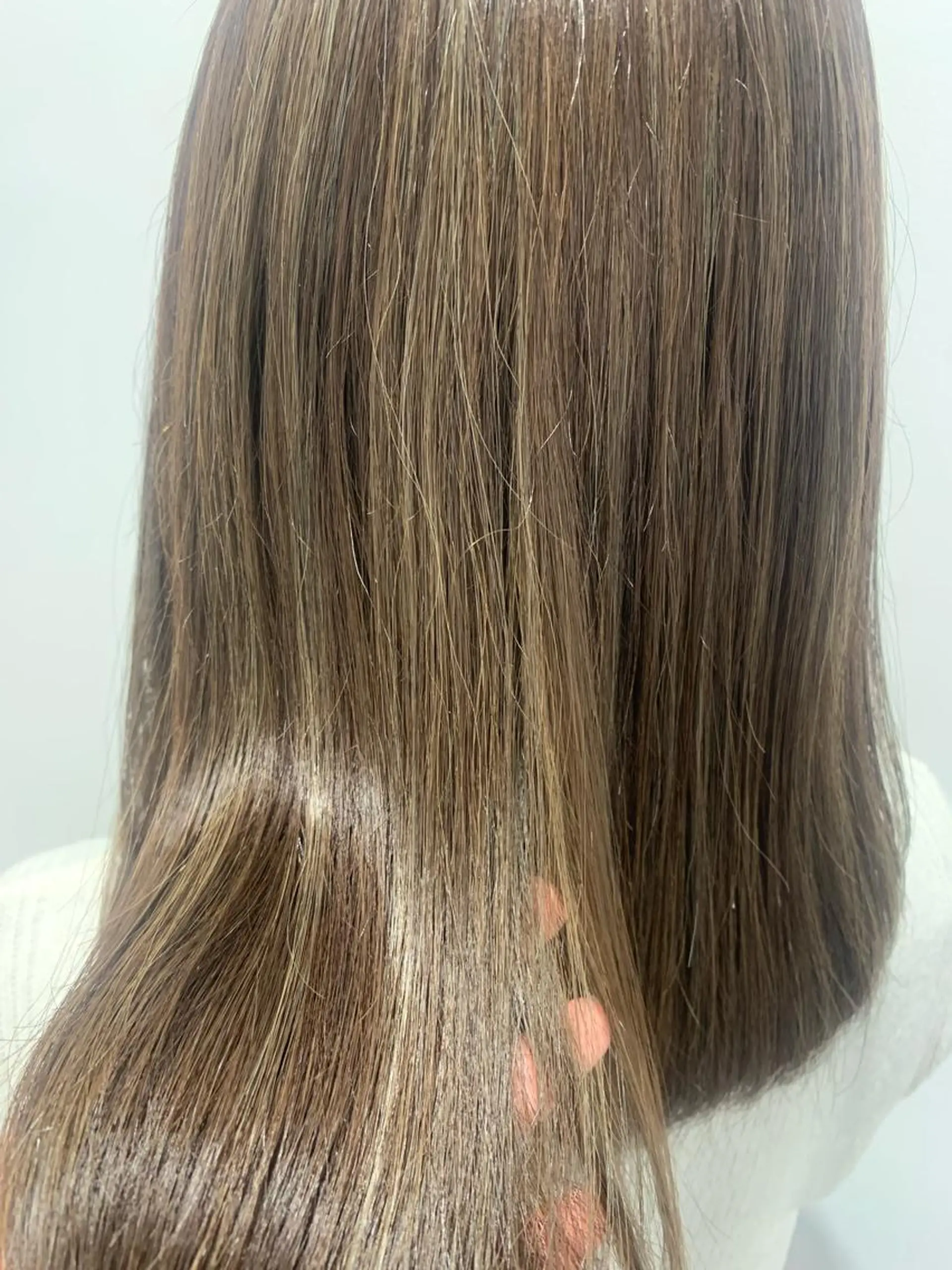 セミロング カラー ベージュカラー 透明感カラー ハイライトカラー オリーブベージュ ハイライト カット ヘアカラー トリートメント ボブ/美髪矯正 /佐藤　奈巳のヘアスタイル