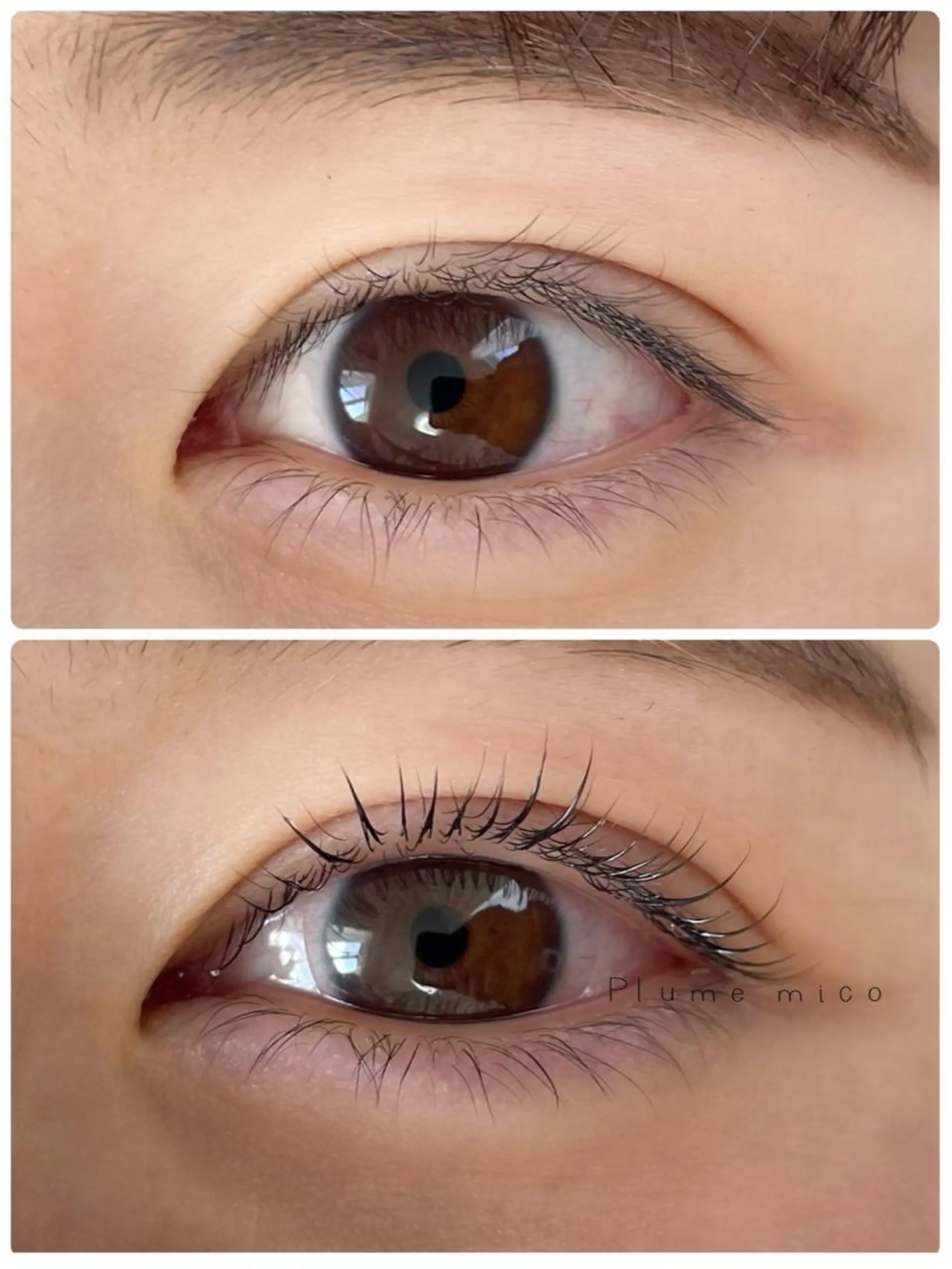 マツエク・マツパ マツパ Plume micoのマツエク・マツパデザイン