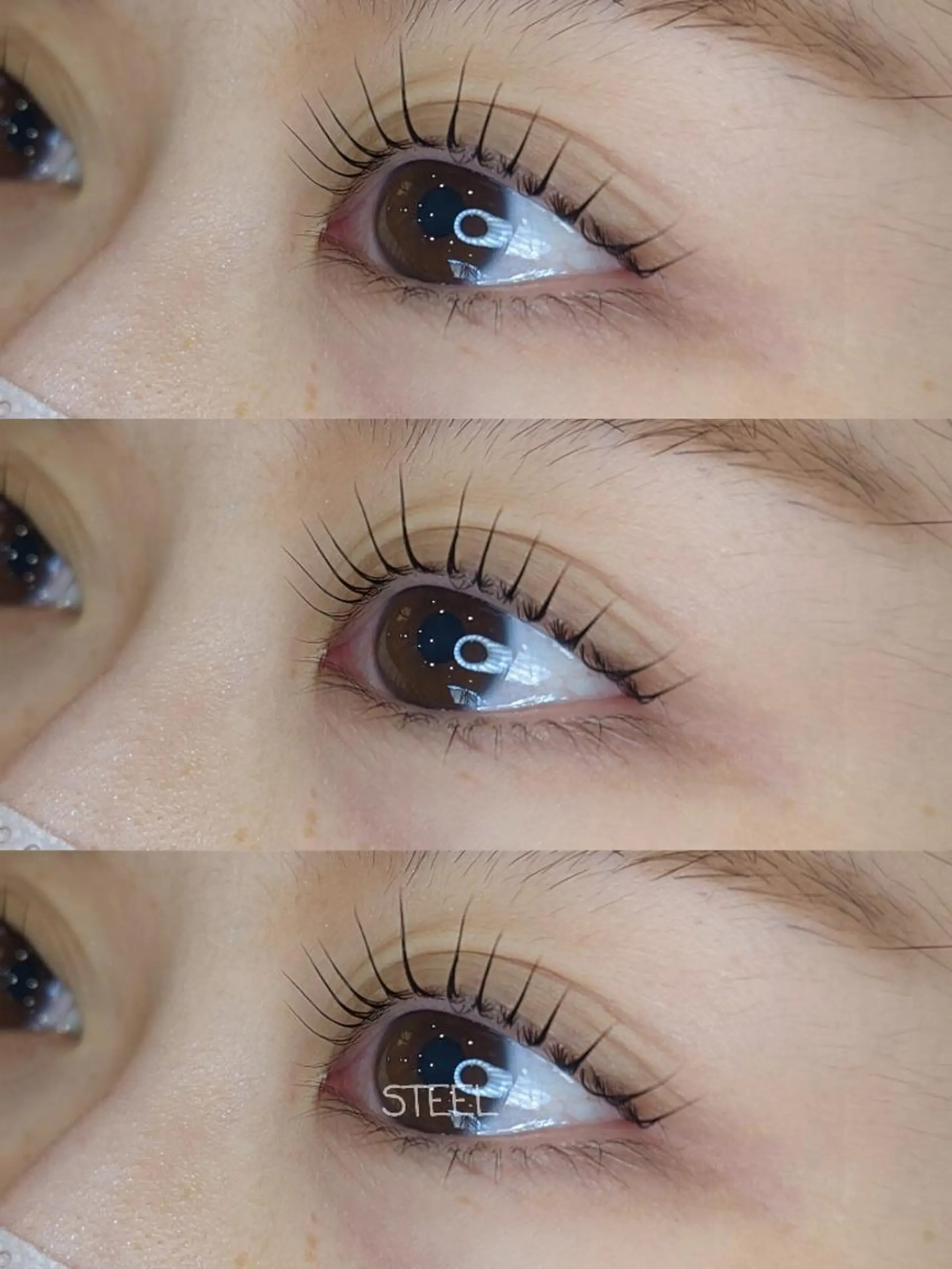 マツエク・マツパ パリジェンヌラッシュリフト STEEL所属・【STEEL】🦄 MASHIMA🦄のマツエク・マツパデザイン