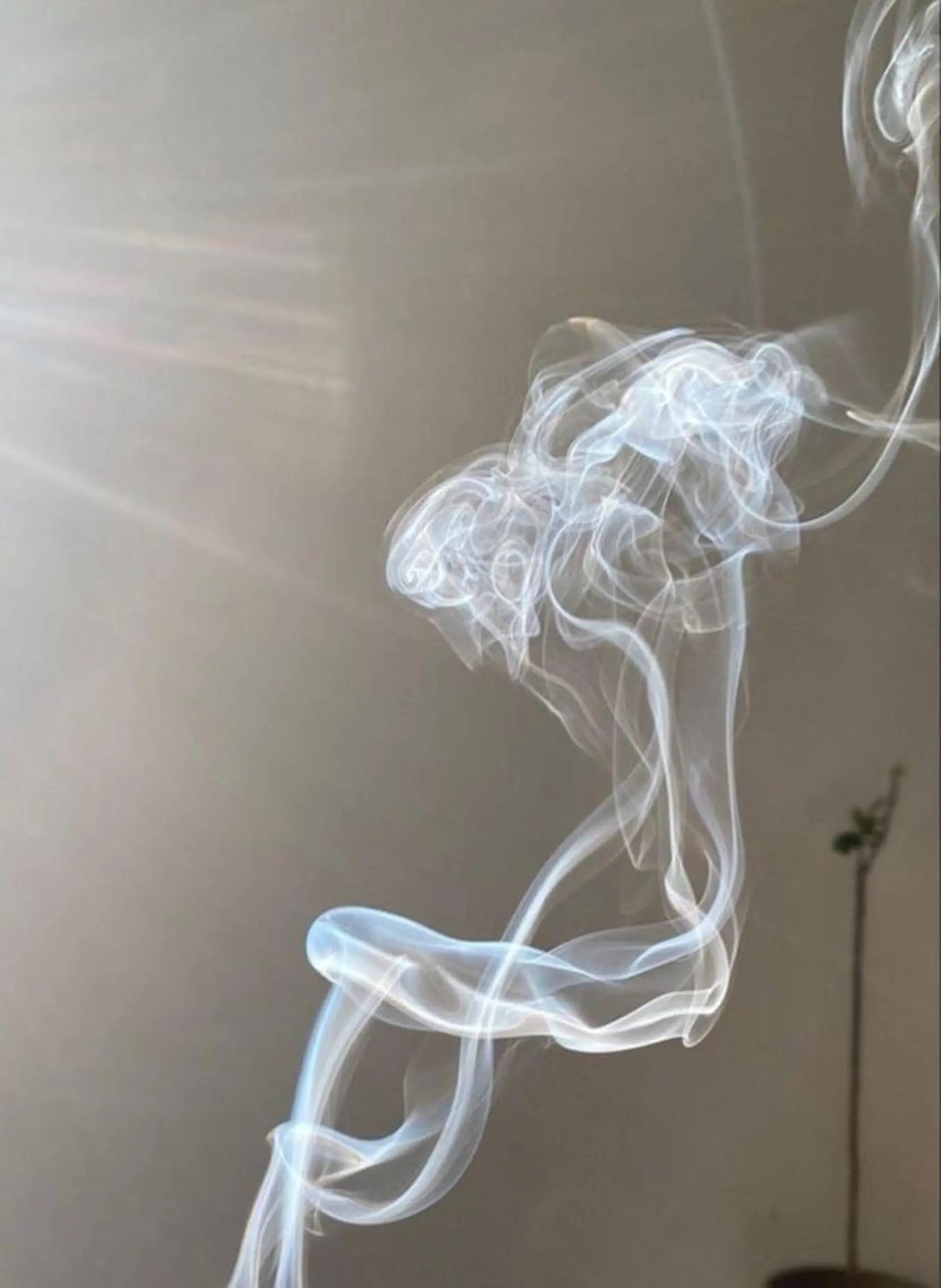 マツエク・マツパ meets 青山のマツエク・マツパデザイン