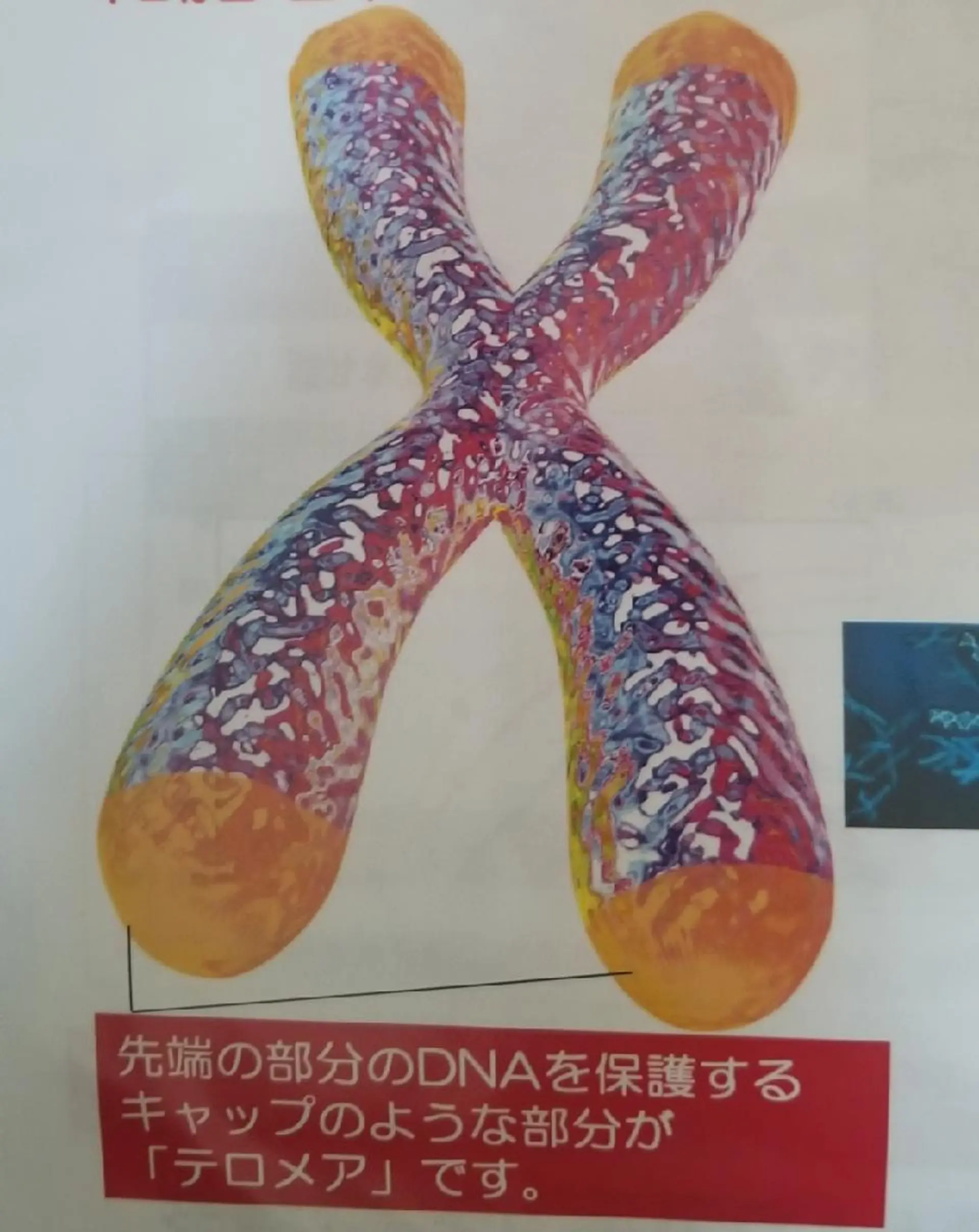 エステ ヴィアージュ所属・後藤 悠暉野のエステ・リラクイメージ