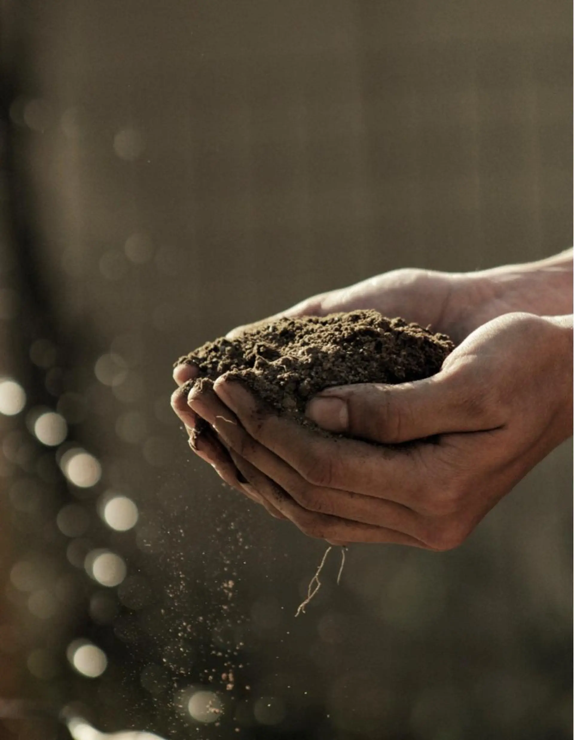 RENsalon大阪 体質改善リトリートのエステ・リラクイメージ