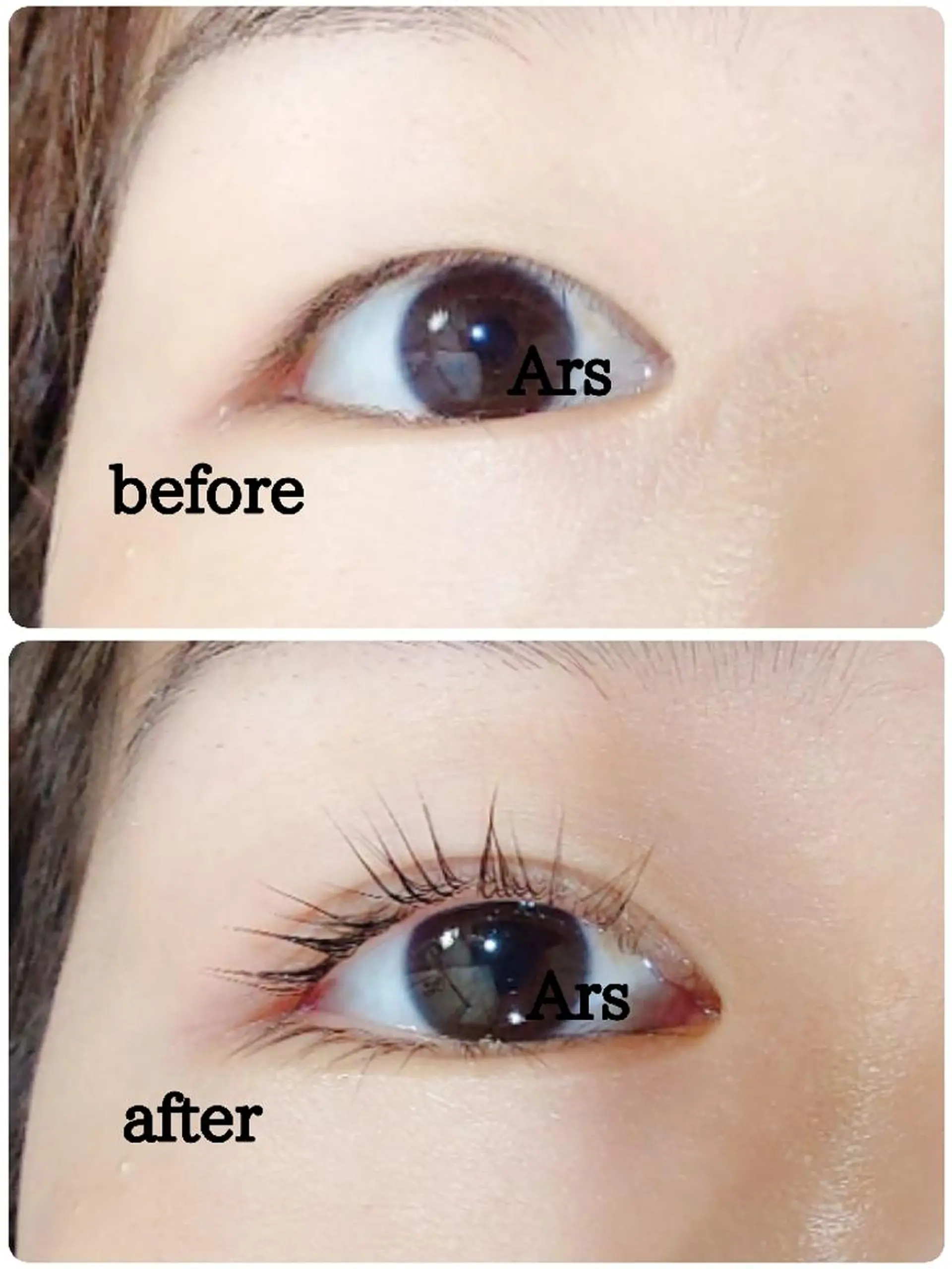 マツエク・マツパ アイリッドアップパーマ Ars  (ｱﾙｽ)所属・Ars      (ｱﾙｽ)のマツエク・マツパデザイン