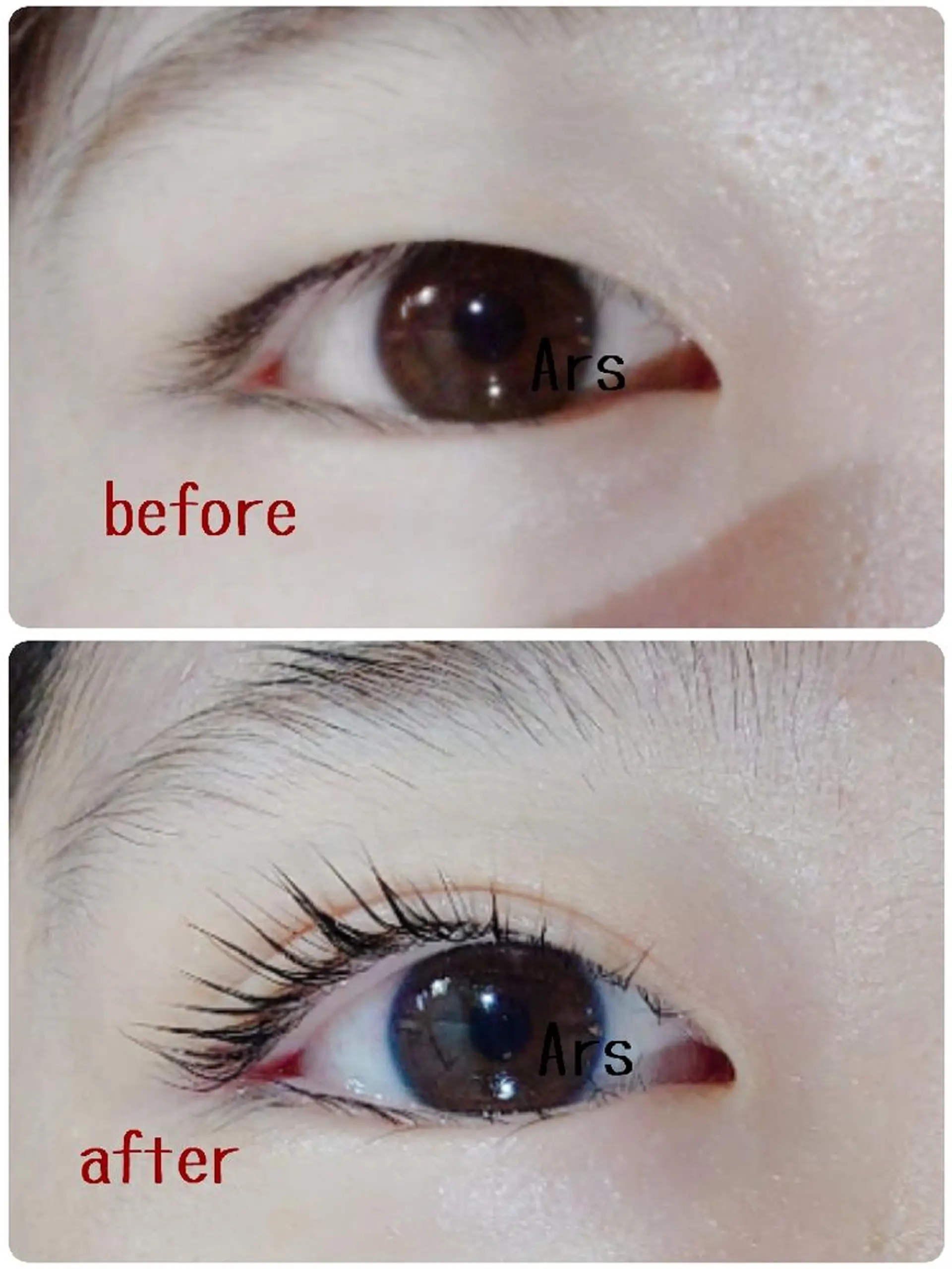 マツエク・マツパ アイリッドアップパーマ Ars  (ｱﾙｽ)所属・Ars      (ｱﾙｽ)のマツエク・マツパデザイン