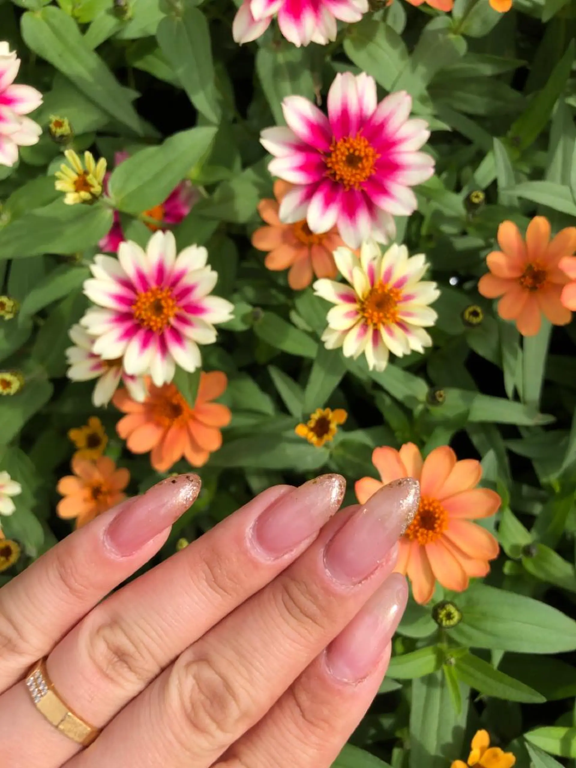 ネイル フレンチネイル ラメ(グリッター) nanamin nail所属・眉サロン KE. 船橋日大前駅徒歩1分のその他イメージ