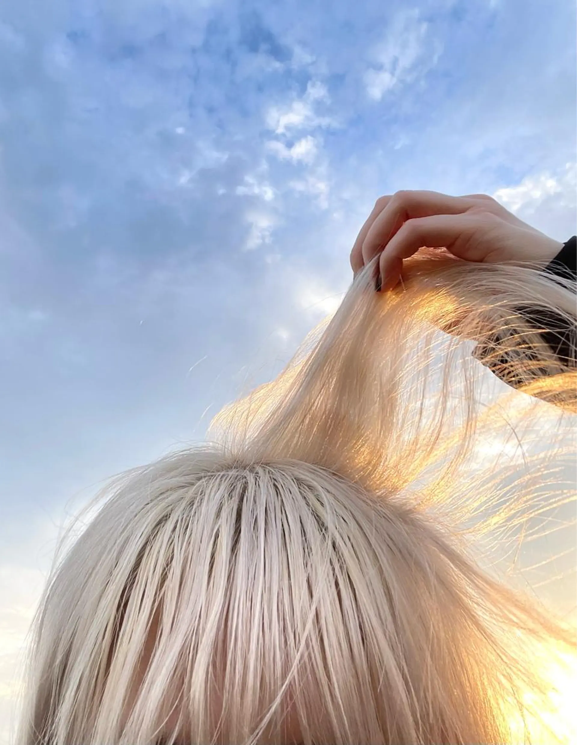 ミディアム カラー パーマ ヘアアレンジ メンズ キッズ ネイル マツエク・マツパ アイブロウ ホワイト カット ヘアカラー トリートメント tatsumi/ボブ ウルフ/レイヤーのヘアスタイル