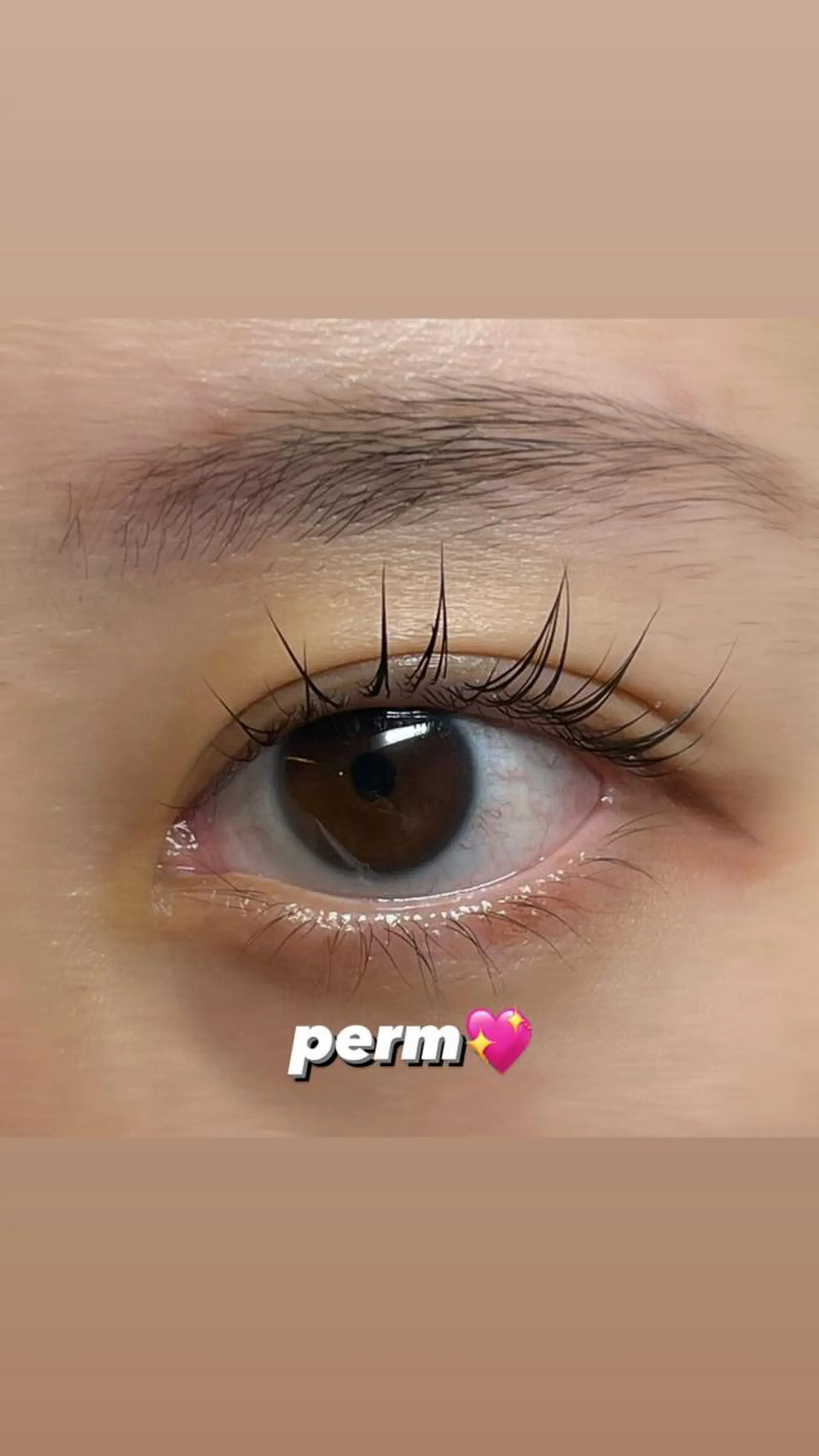 マツエク・マツパ GO TODAY シェアサロン 銀座Eclara店所属・mihiro 銀座まつぱﾏﾂｴｸ眉のマツエク・マツパデザイン