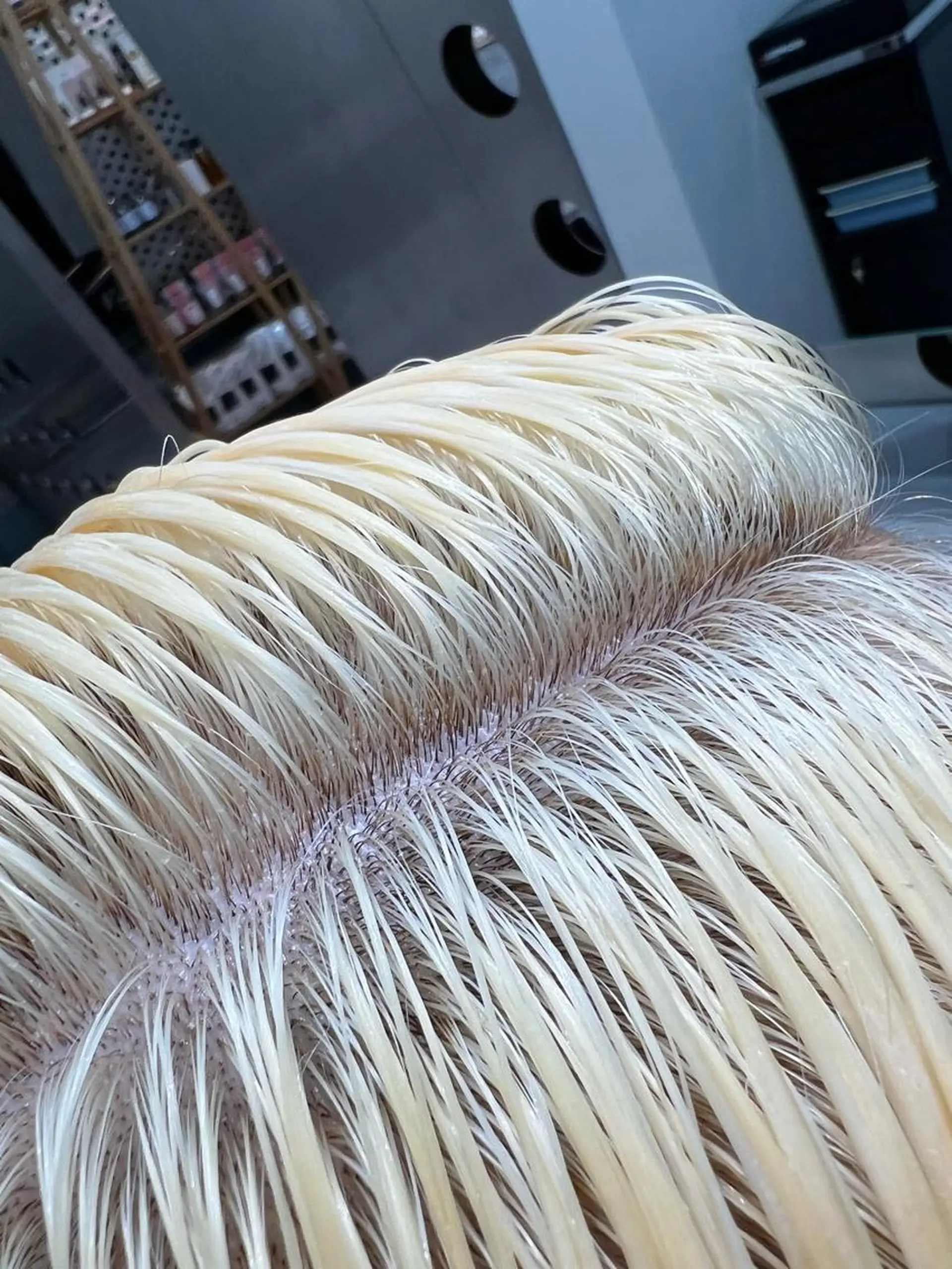 ショート カラー 堀江 /木下椋麻のヘアスタイル