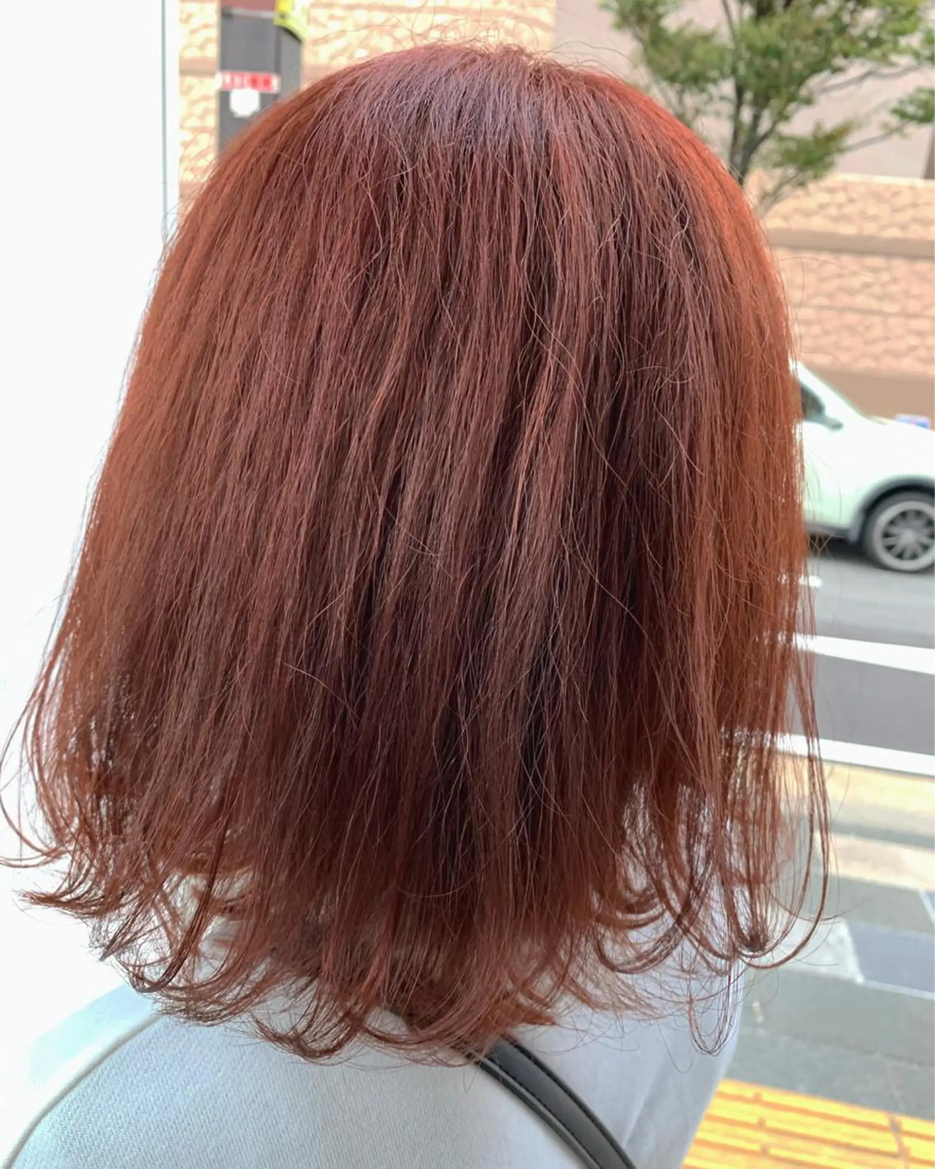 ミディアム 園 冬稀のヘアスタイル