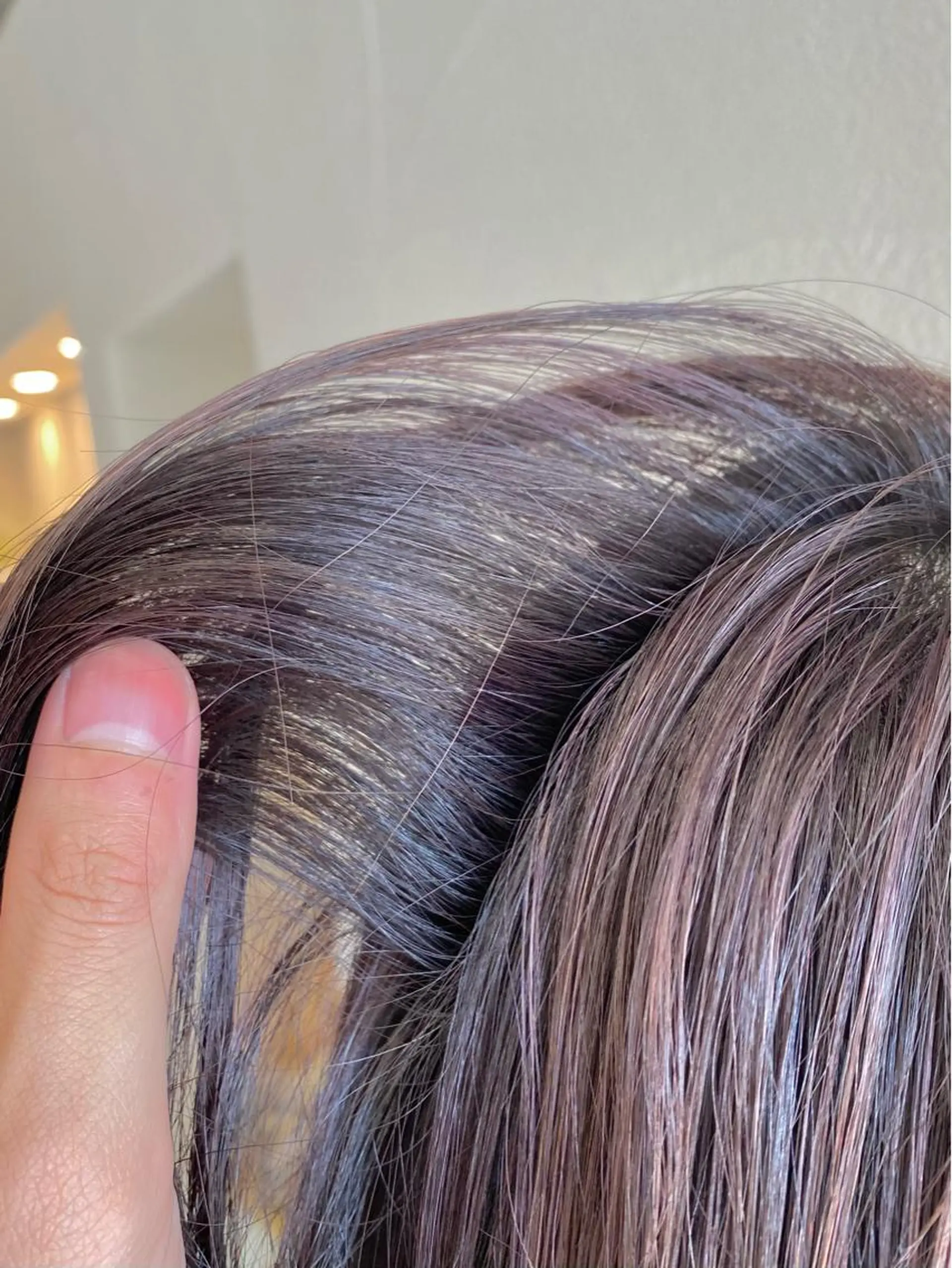 ショート カラー グレージュ ハイライトカラー ラベンダーカラー ラベンダーグレージュ ラベンダーグレー ❄️中川 慎之介❄️のヘアスタイル