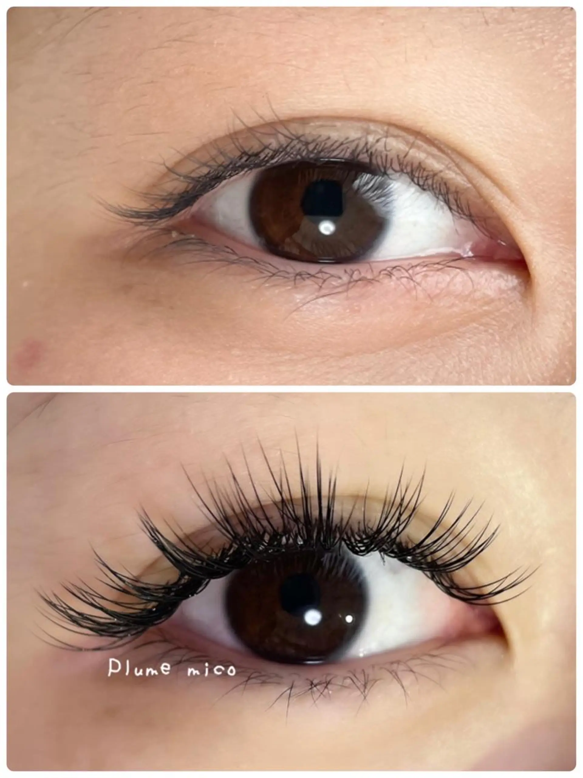 マツエク・マツパ マツエク Plume micoのマツエク・マツパデザイン