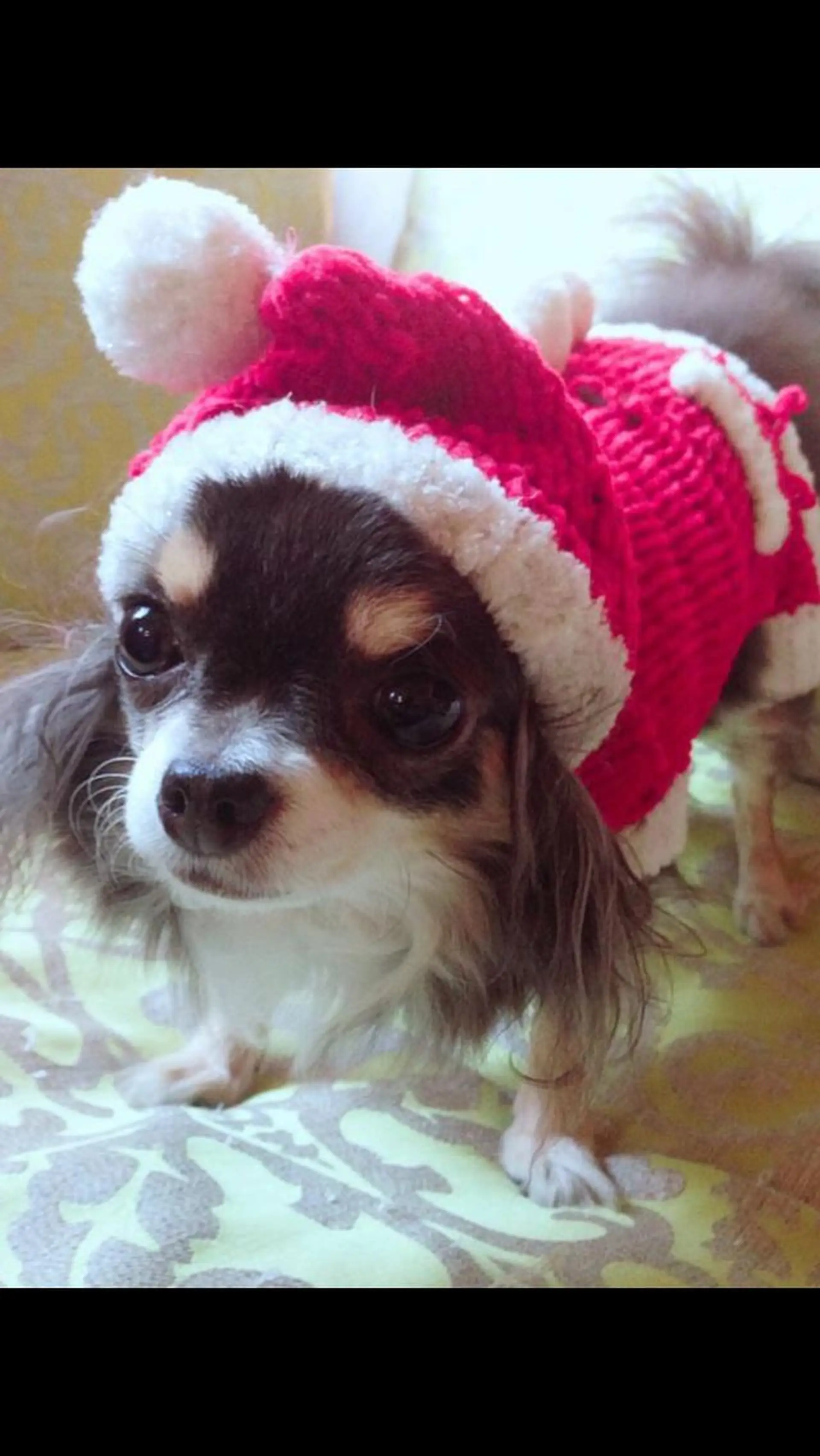 山崎 晃治のヘアスタイル