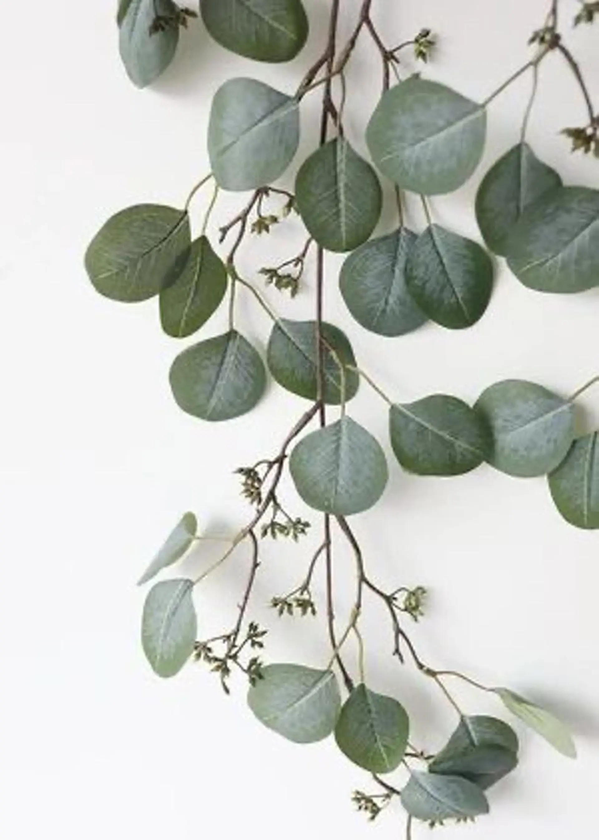 マツエク・マツパ マツパ 浦和駅近完全個室 Michikoのマツエク・マツパデザイン