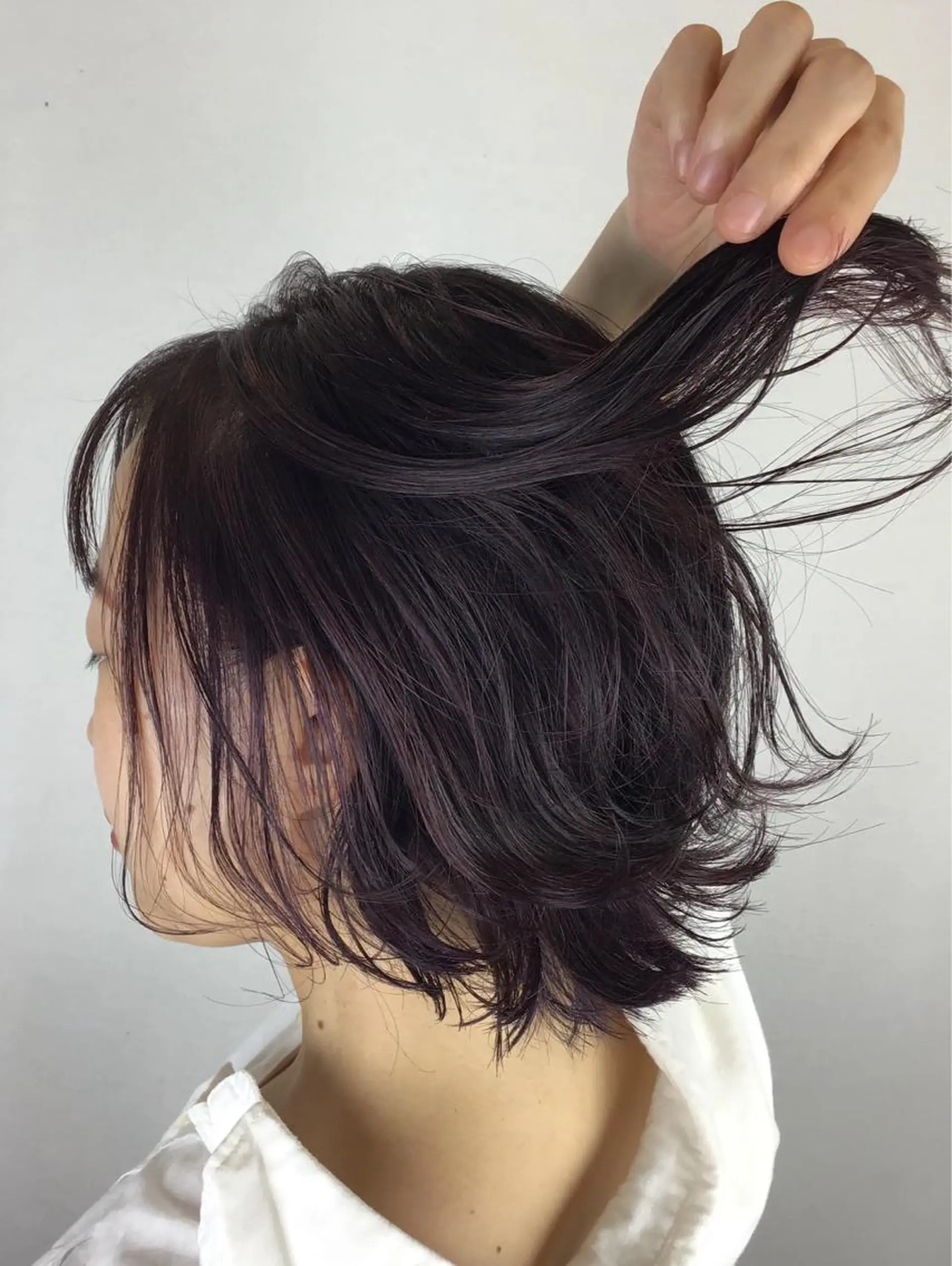 カラー グラデーションカラー Stazio 54の眉毛・アイブロウイメージ