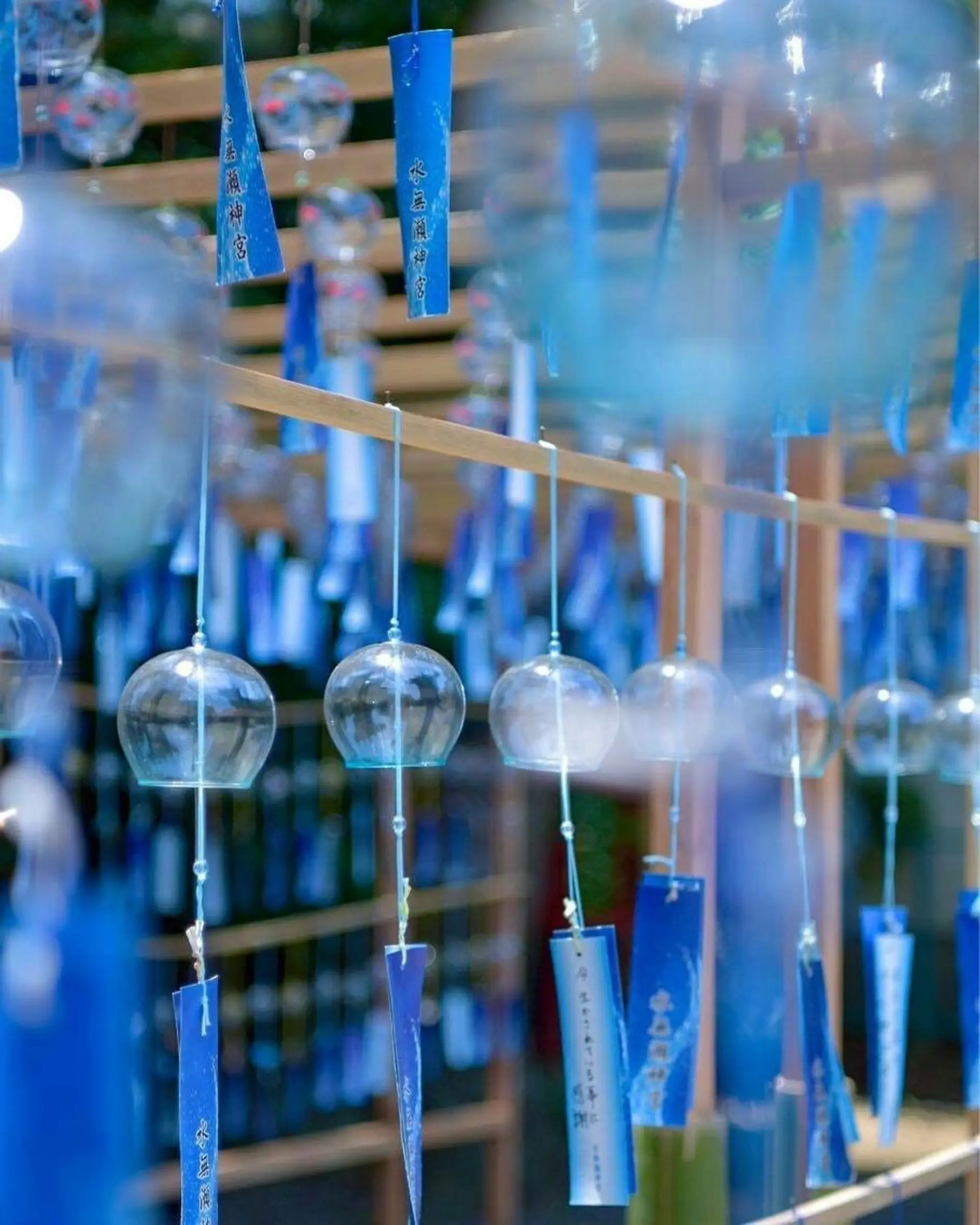 ショート カラー パーマ ヘアアレンジ メンズ キッズ ネイル マツエク・マツパ アイブロウ 学生（メンズ向け） 眉毛ワックス脱毛 学生 小顔カット Chloe-クロエ- 脱毛/フェイシャルのエステ・リラクイメージ