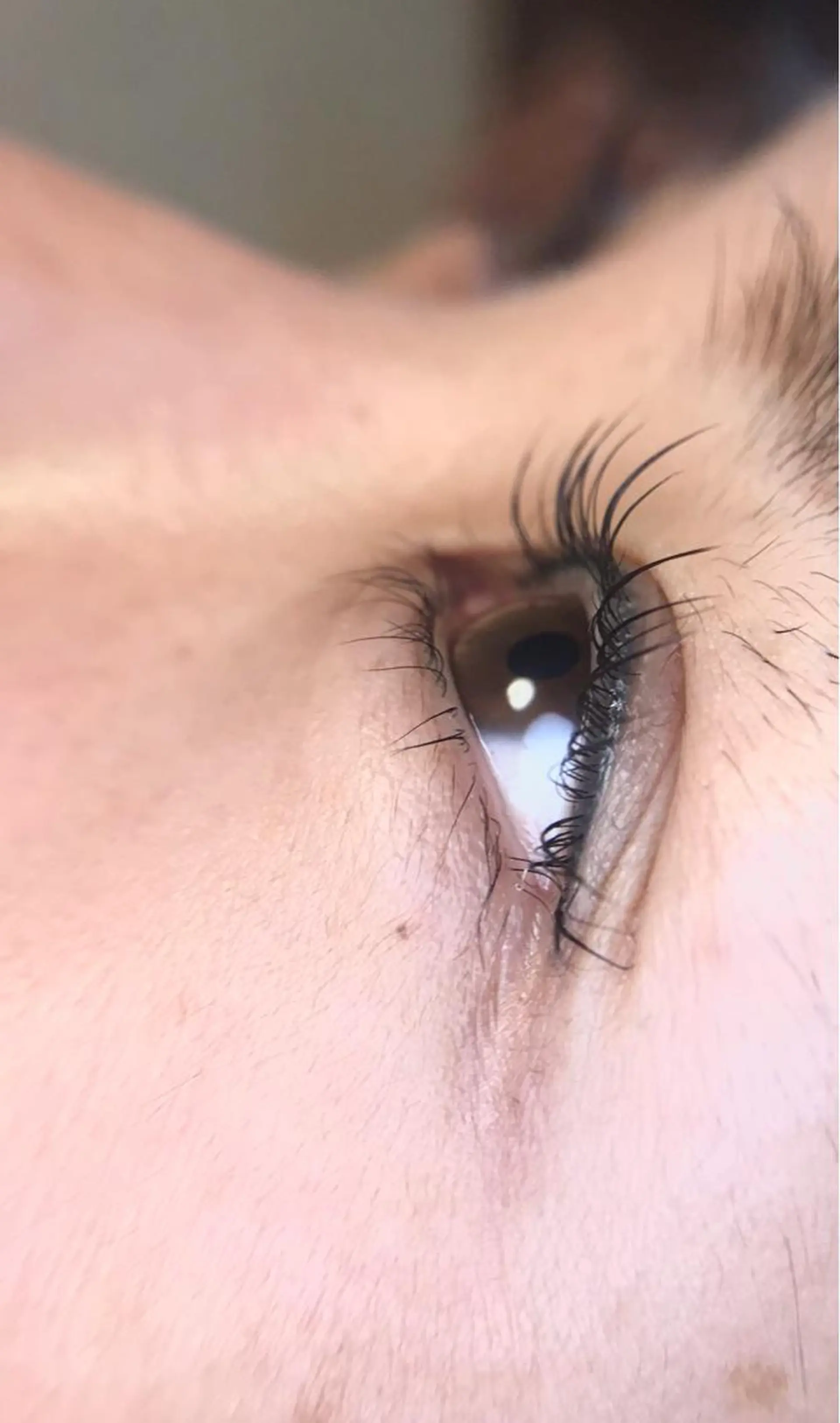 マツエク・マツパ パリジェンヌラッシュリフト リアン SAORIのマツエク・マツパデザイン