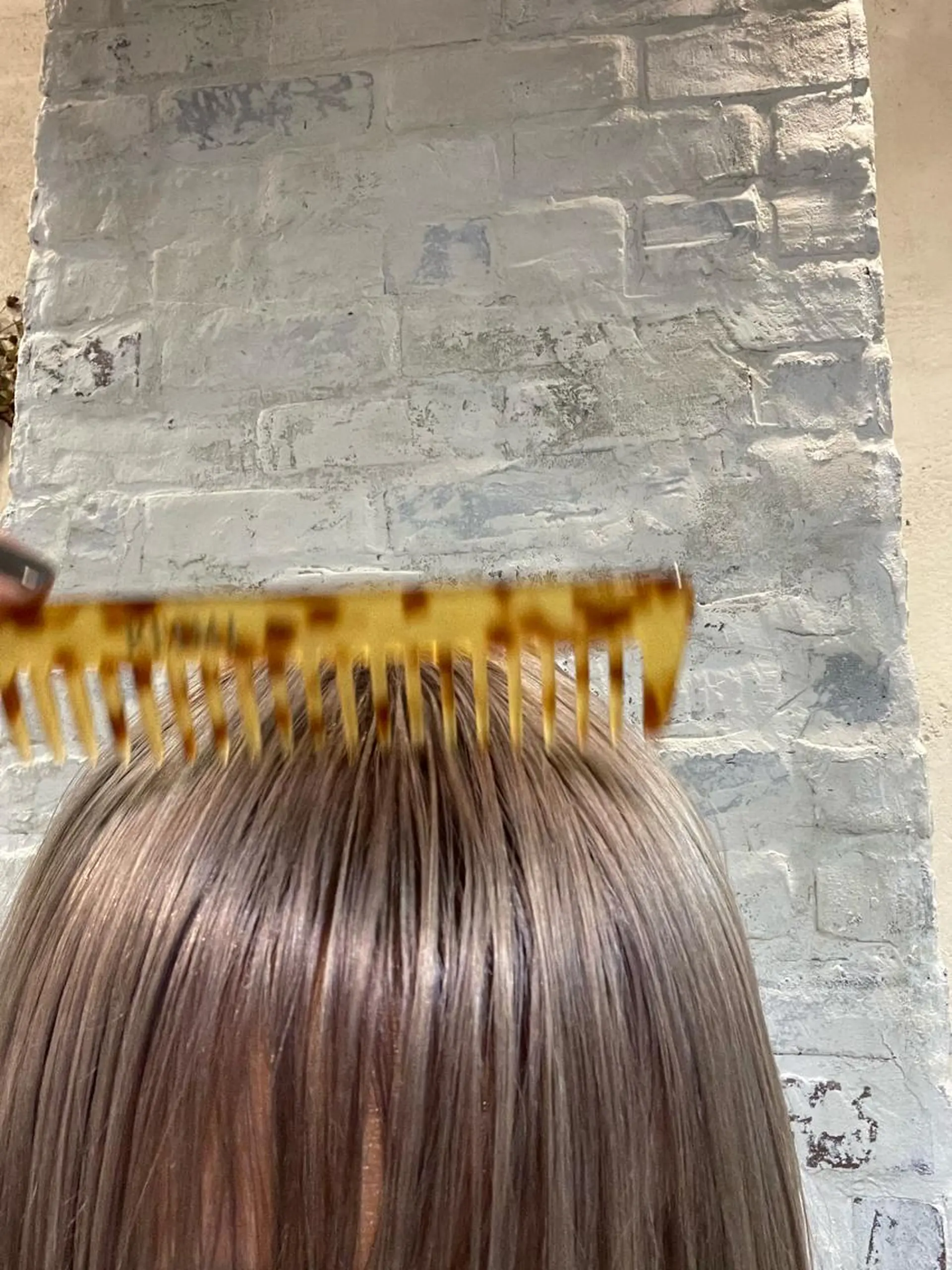 ミディアム カラー 泊 紗羅のヘアスタイル