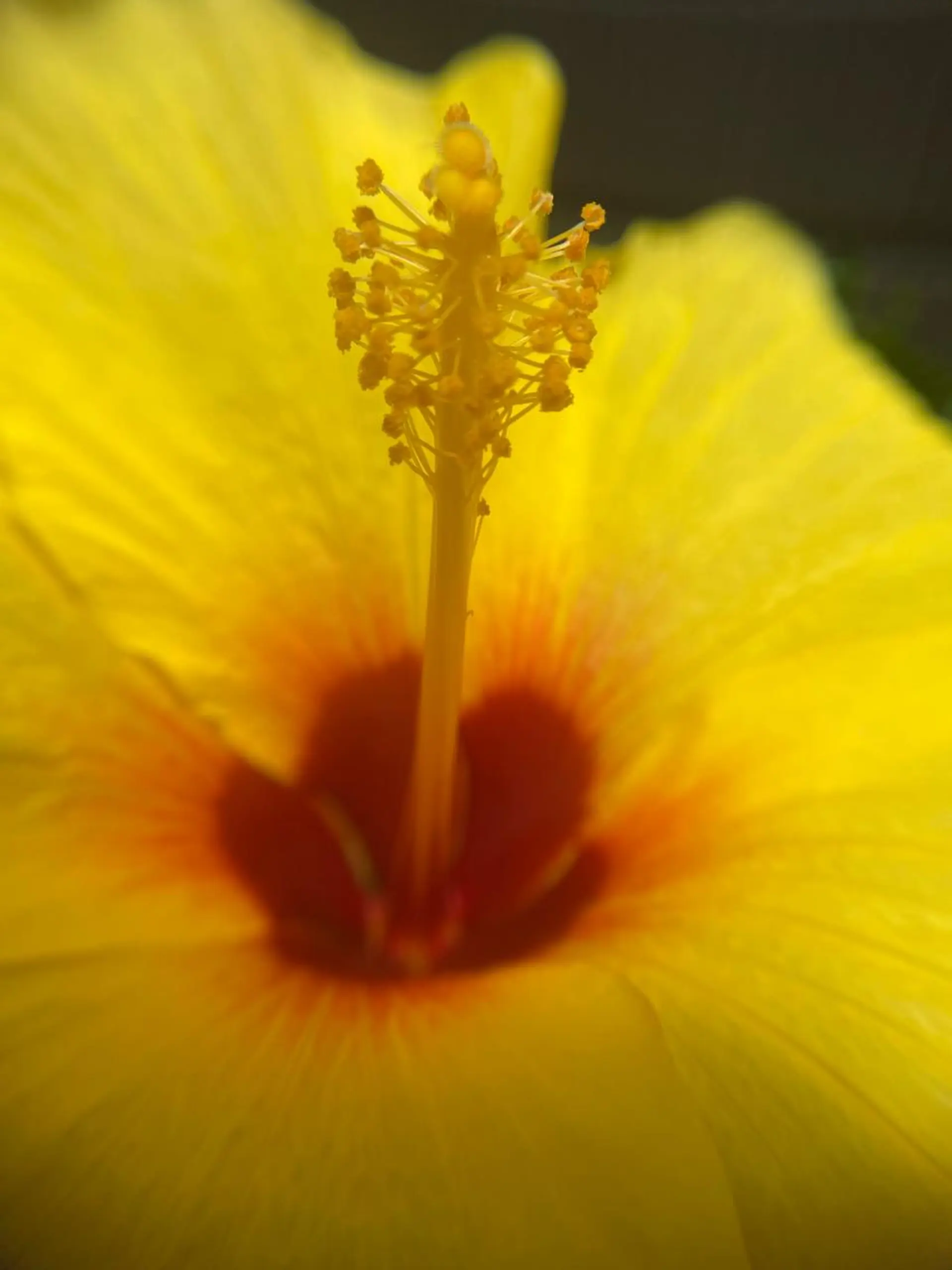 deco tomomiのマツエク・マツパデザイン