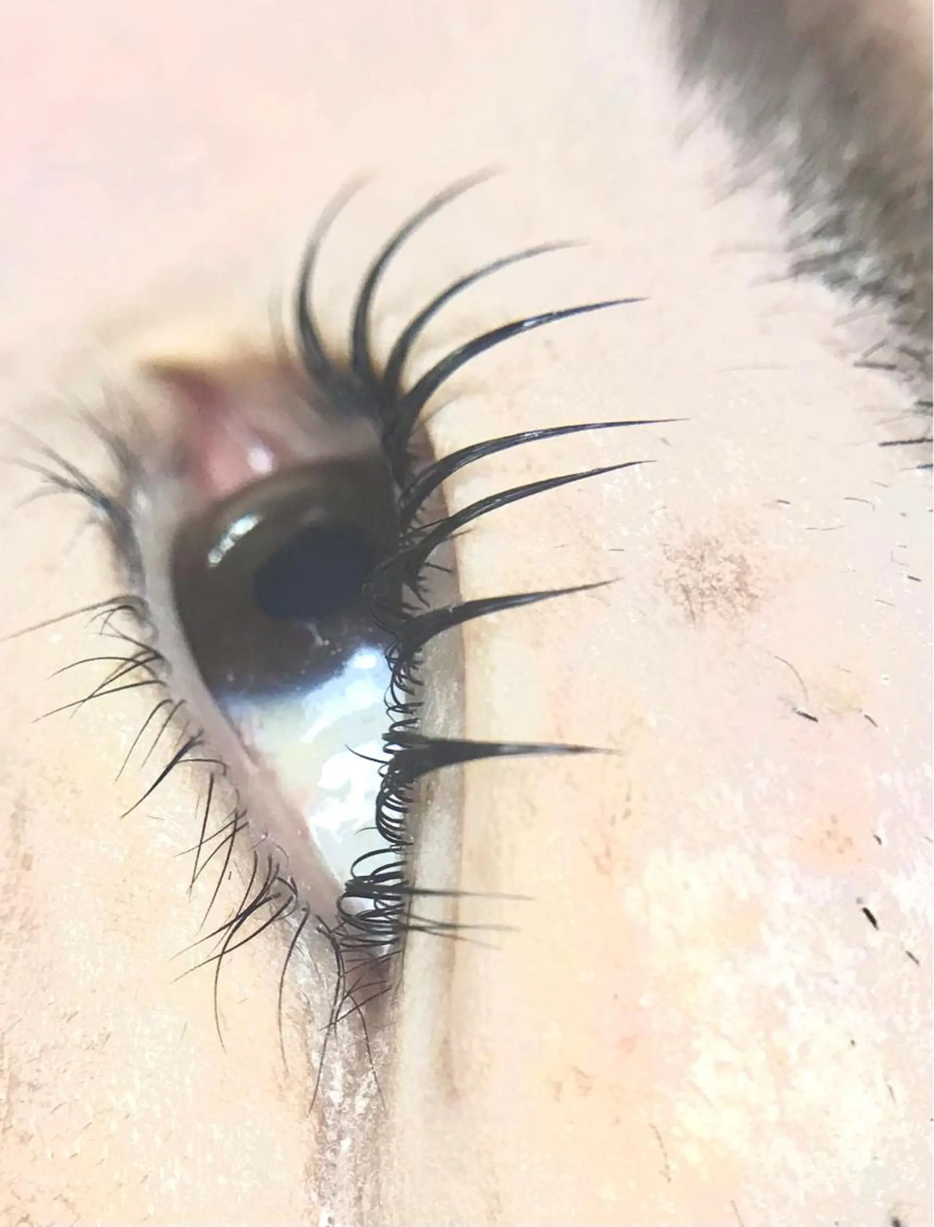 マツエク・マツパ パリジェンヌラッシュリフト リアン SAORIのマツエク・マツパデザイン