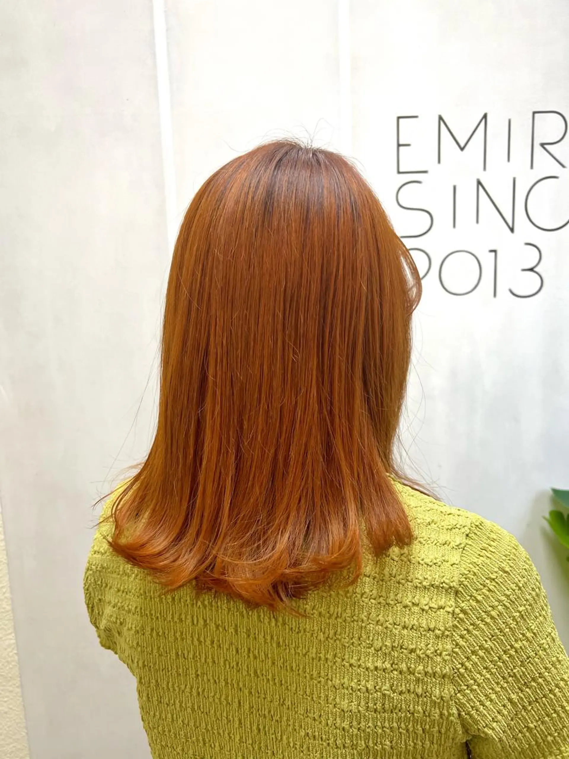 セミロング カラー 🦋.*˚オタク美容 師アキバノノカ🦋のヘアスタイル