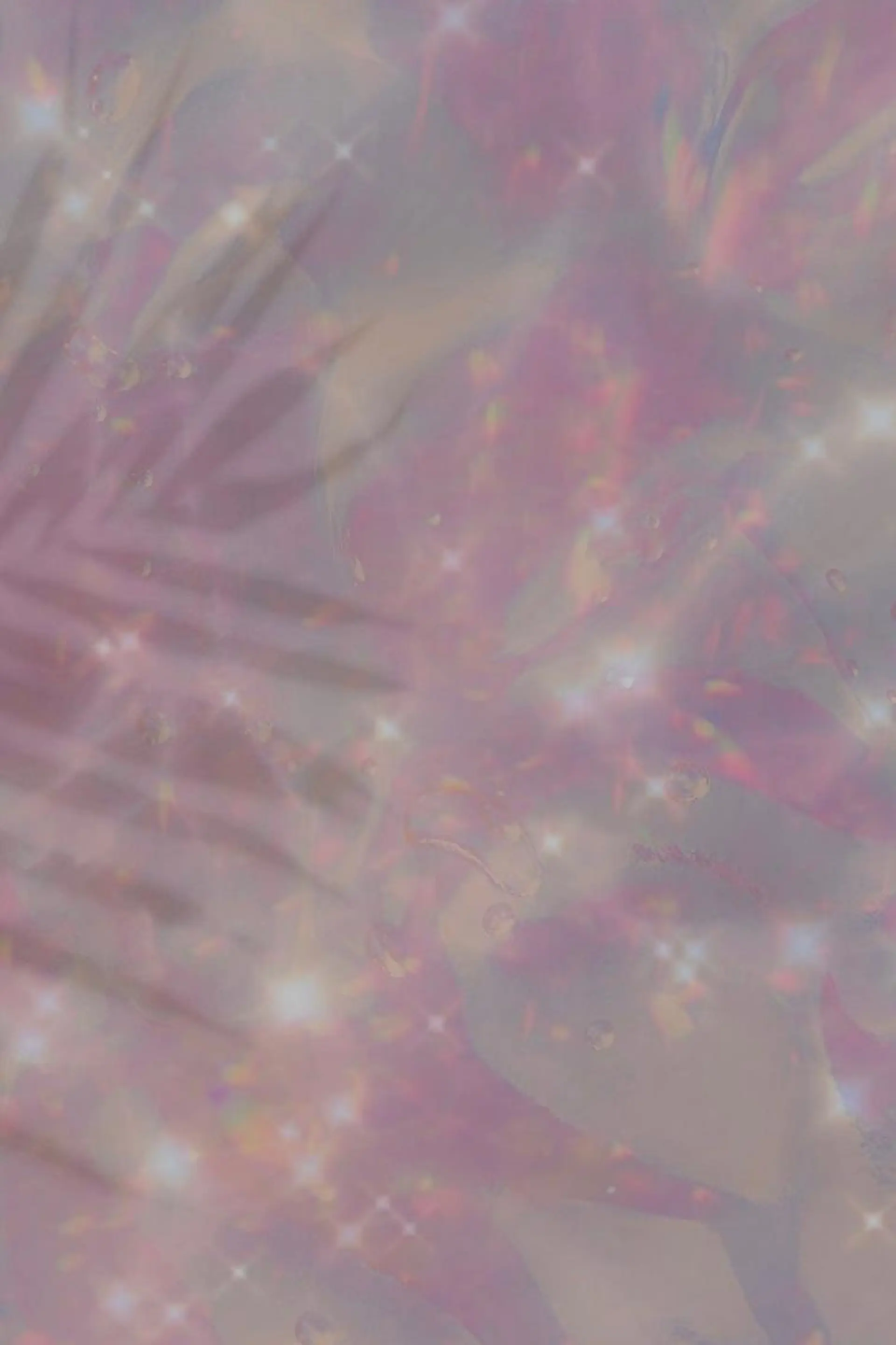 マツエク・マツパ OLIVIA 郷家 ♡のマツエク・マツパデザイン