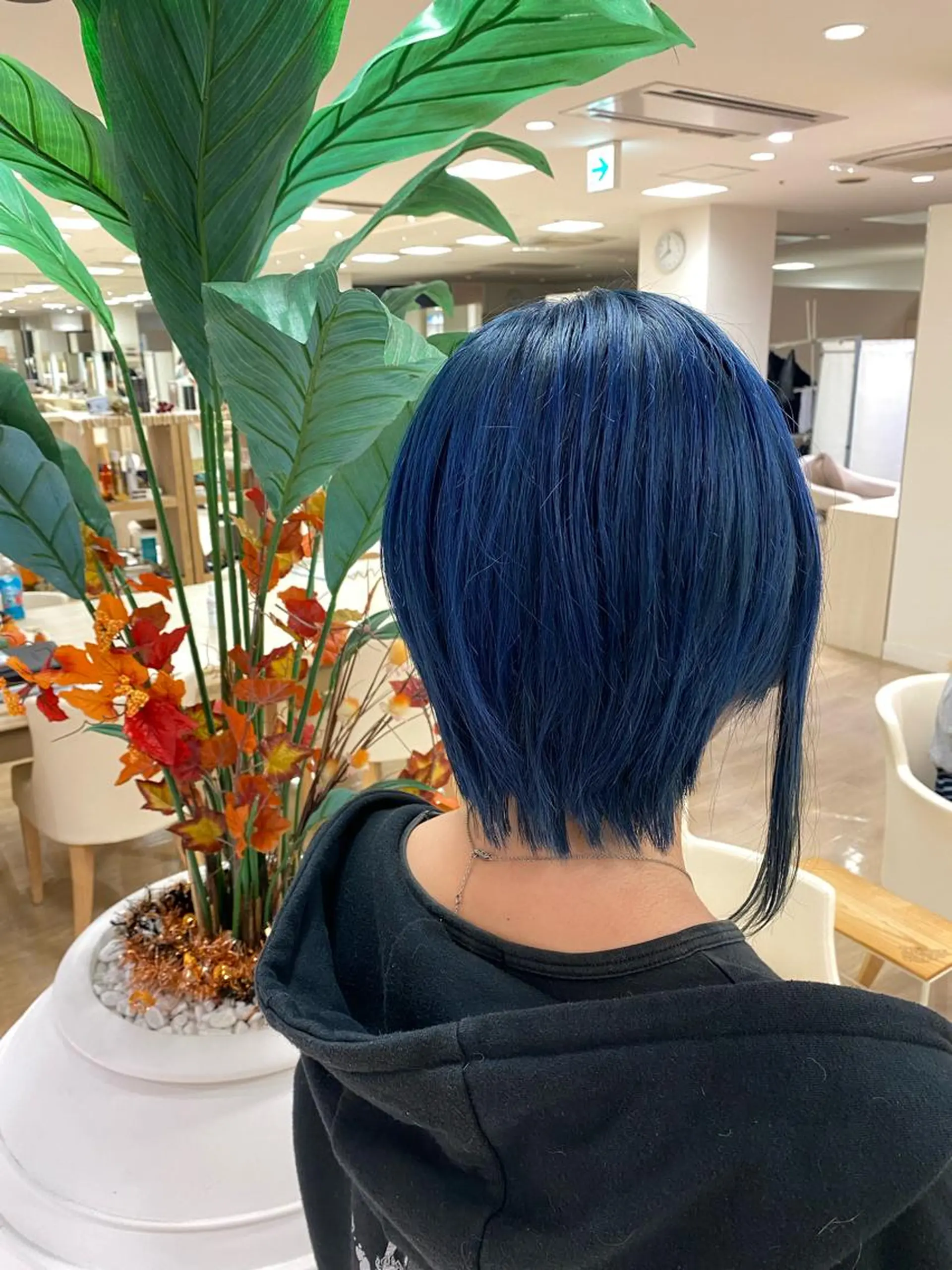 ショート カラー ヘアカラー トリートメント ヘアセット ハイトーン/ウルフ /レイヤー/坂野幸伸のヘアスタイル