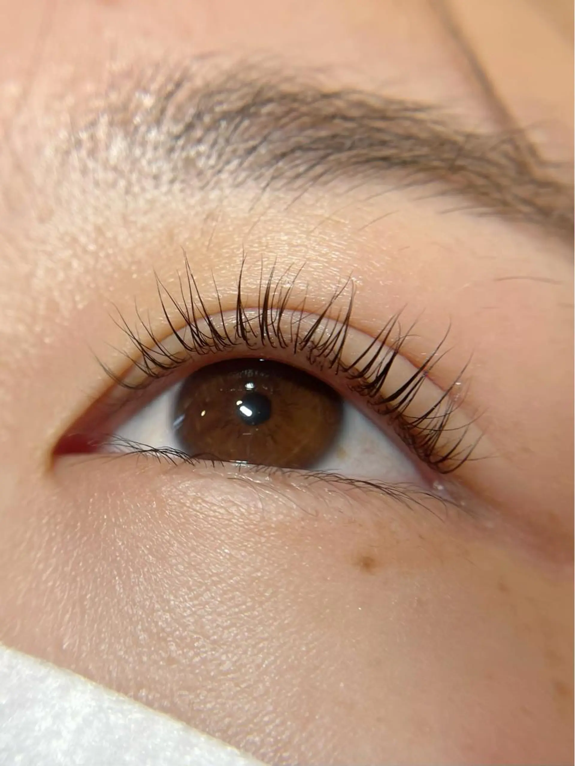 パーマ マツエク・マツパ パリジェンヌラッシュリフト まつげパーマ 一重×まつ毛パーマ PRIMO🐈🌱 マツパ/黒ティントのマツエク・マツパデザイン