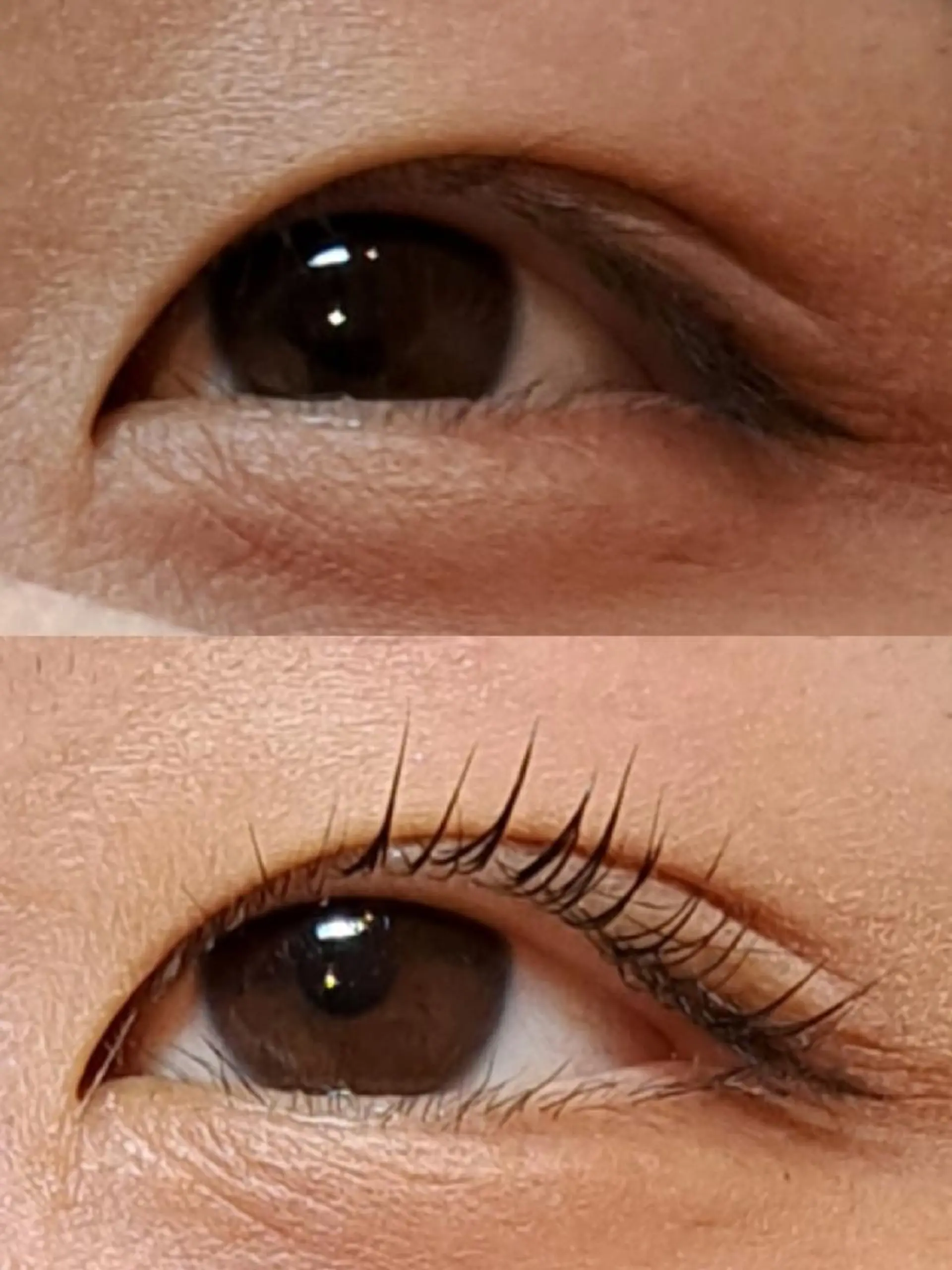 マツエク・マツパ マツパ トータルビューティー  バルフィット所属・冨永 小絵のマツエク・マツパデザイン