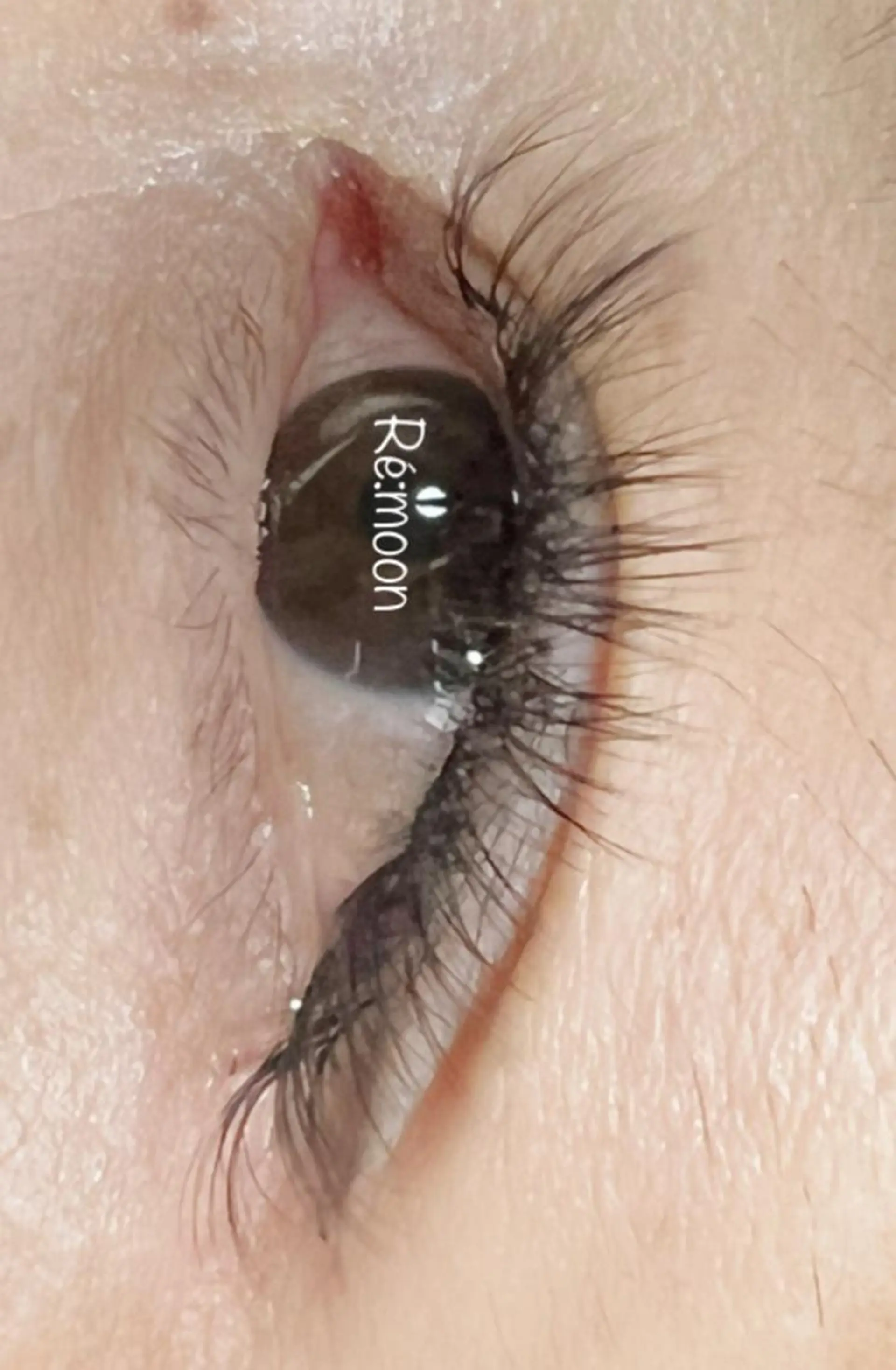 マツエク・マツパ マツエク 宮澤 ユキナのマツエク・マツパデザイン