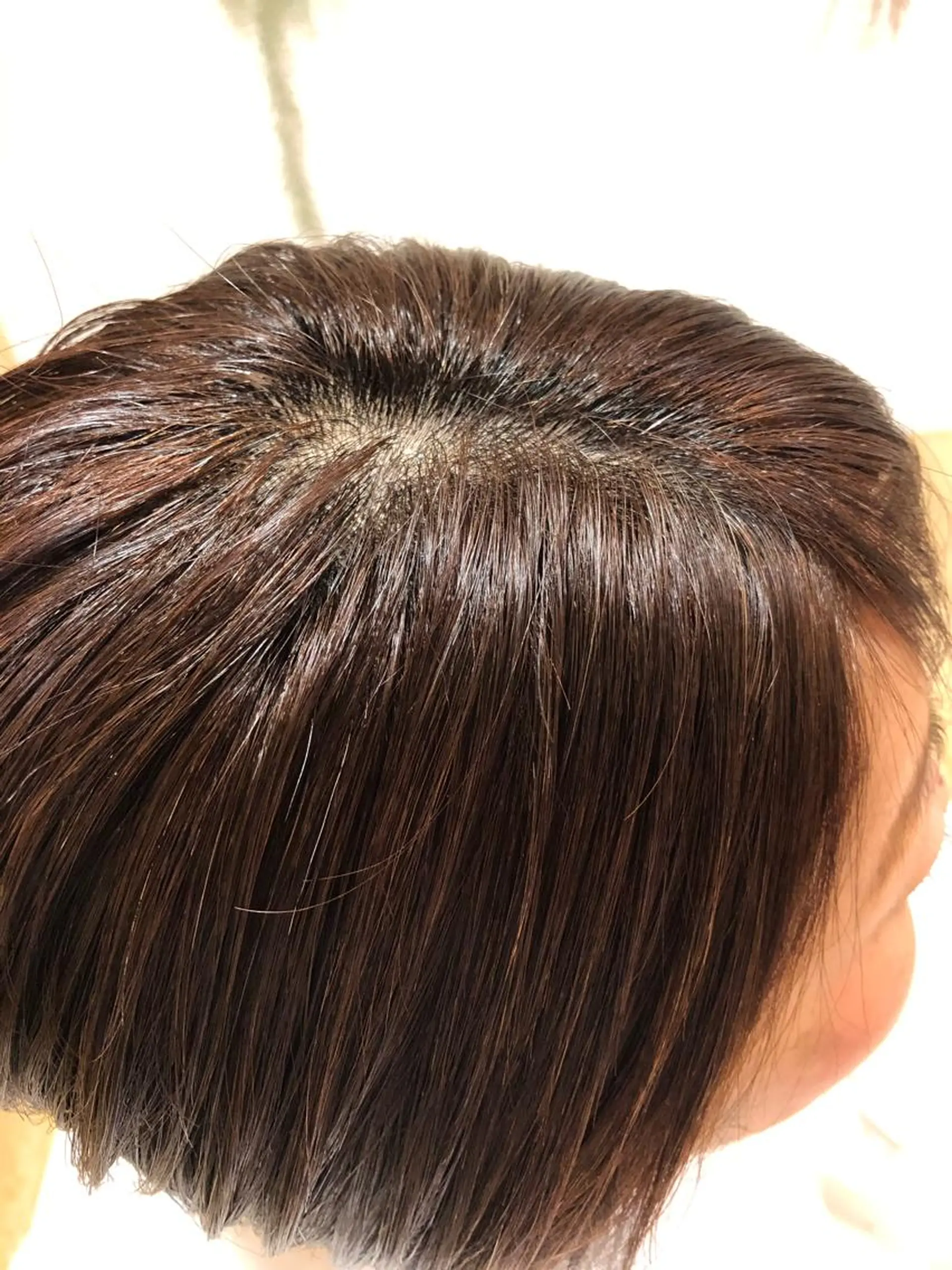 ショート カラー ボブカット 佐々木 祐太のヘアスタイル