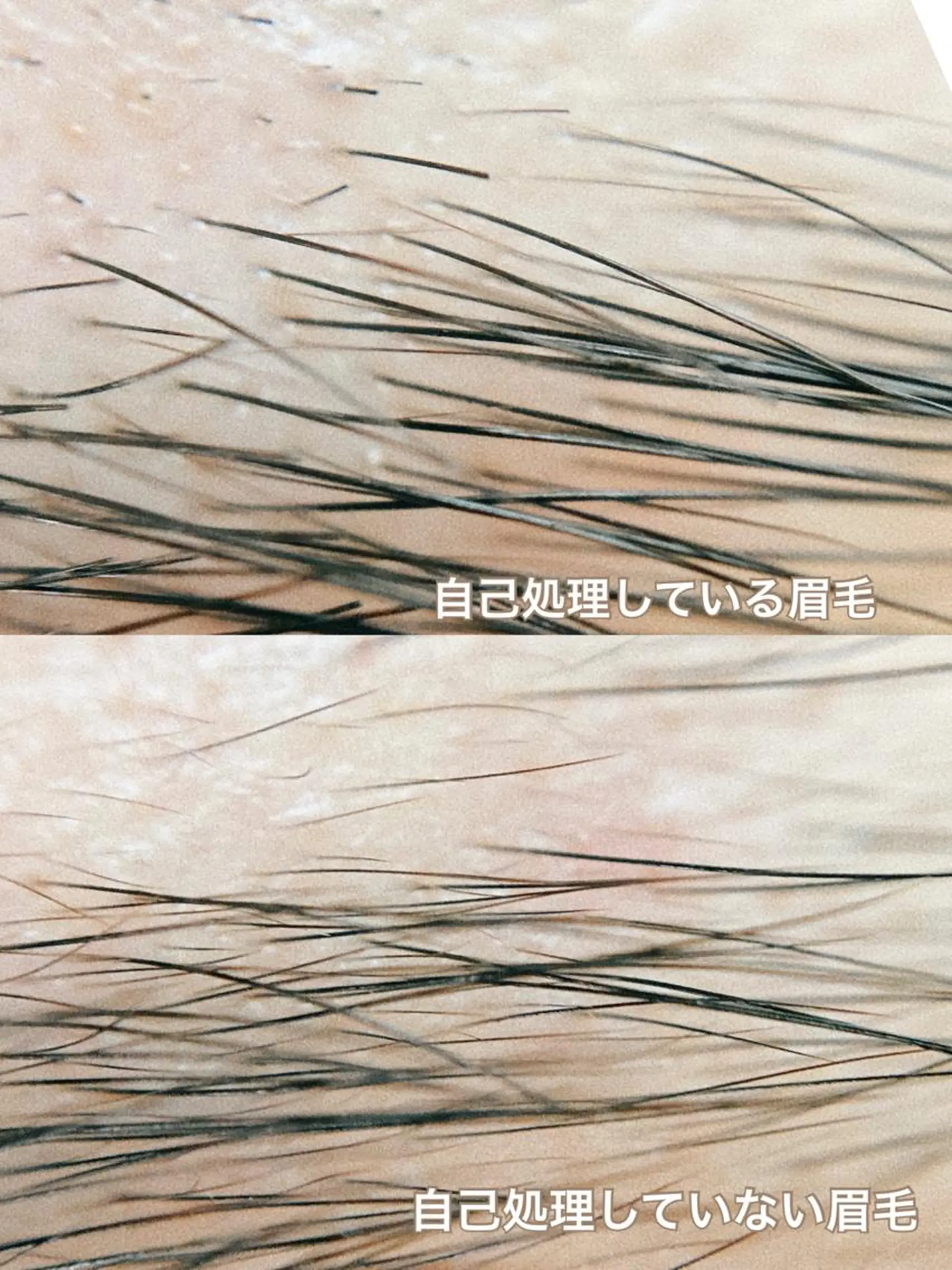 アイブロウ 眉毛ワックス脱毛 EYEBROWS🤍 Megumiの眉毛・アイブロウイメージ