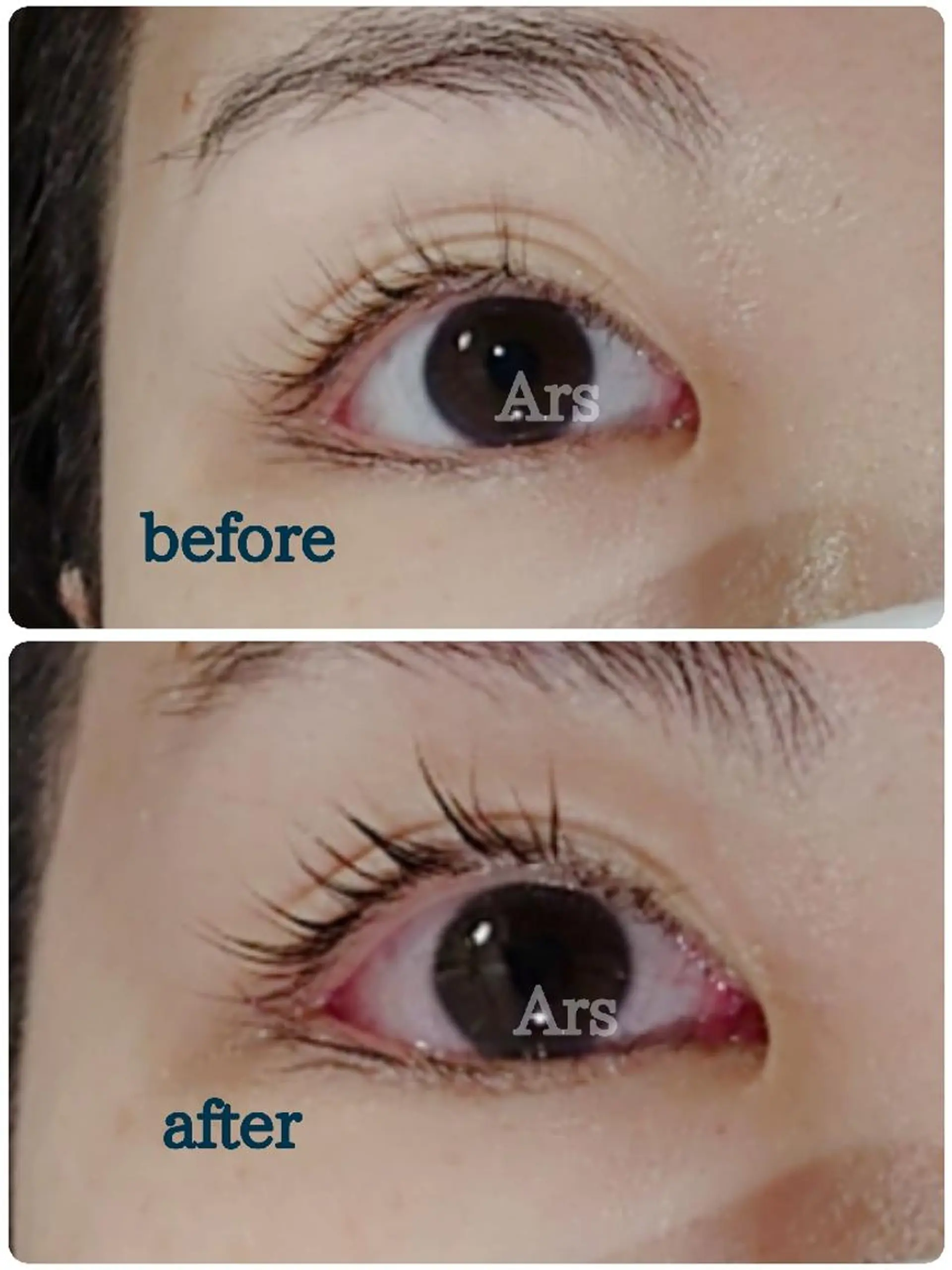 マツエク・マツパ アイリッドアップパーマ Ars  (ｱﾙｽ)所属・Ars      (ｱﾙｽ)のマツエク・マツパデザイン