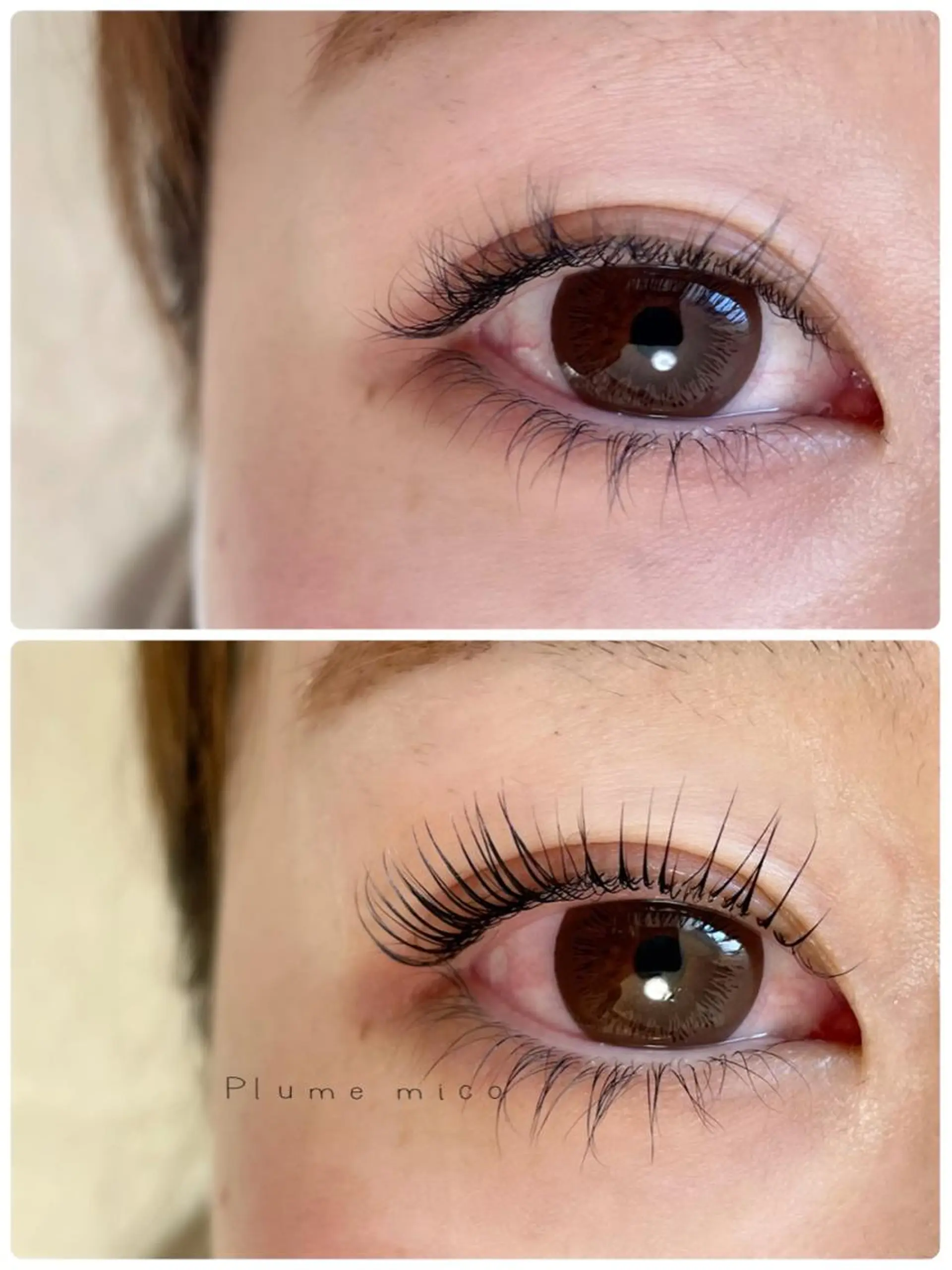 マツエク・マツパ マツパ Plume micoのマツエク・マツパデザイン