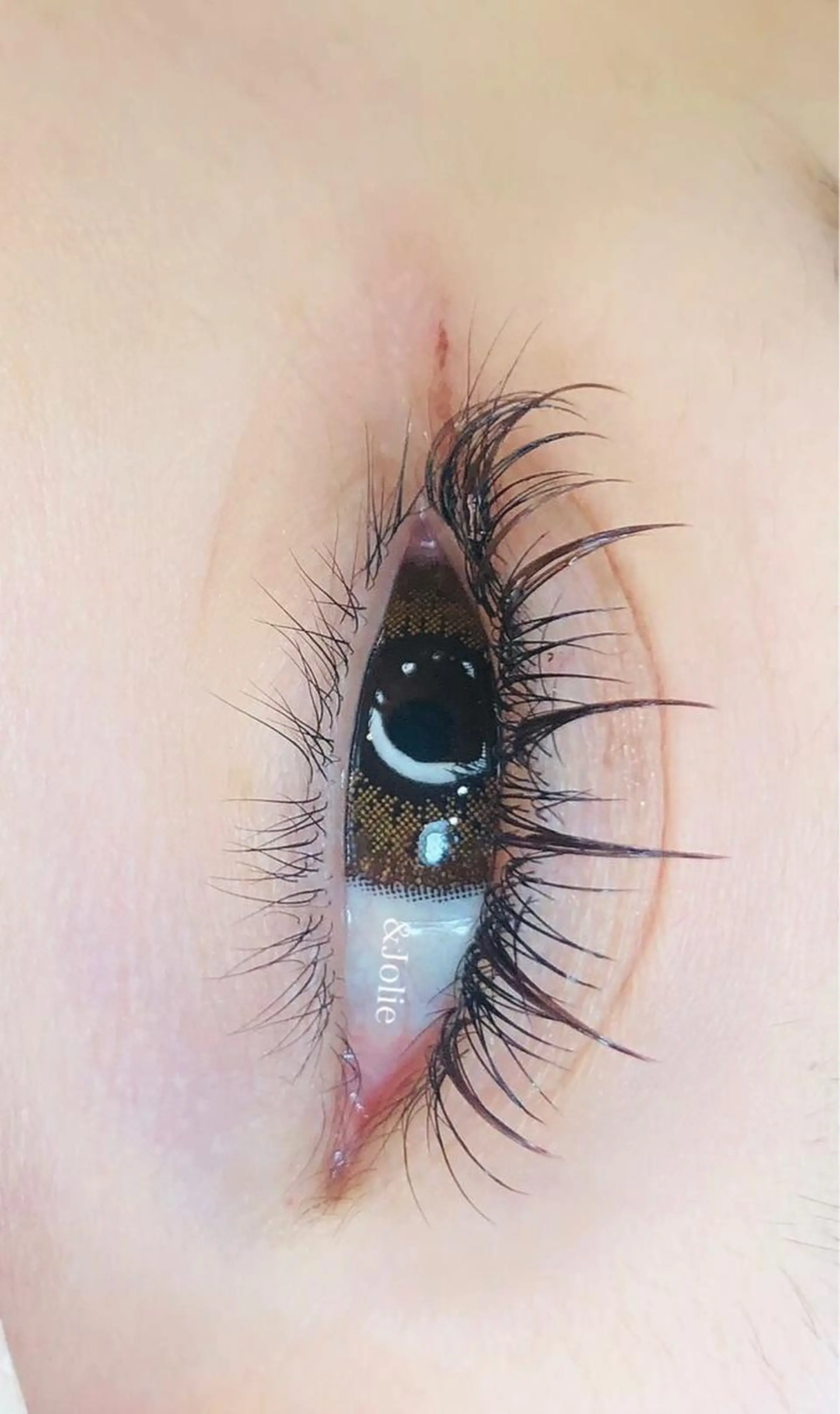 マツエク・マツパ ワンホンマツエク &Jolie beauty  salon所属・＆Jolie スタッフのマツエク・マツパデザイン