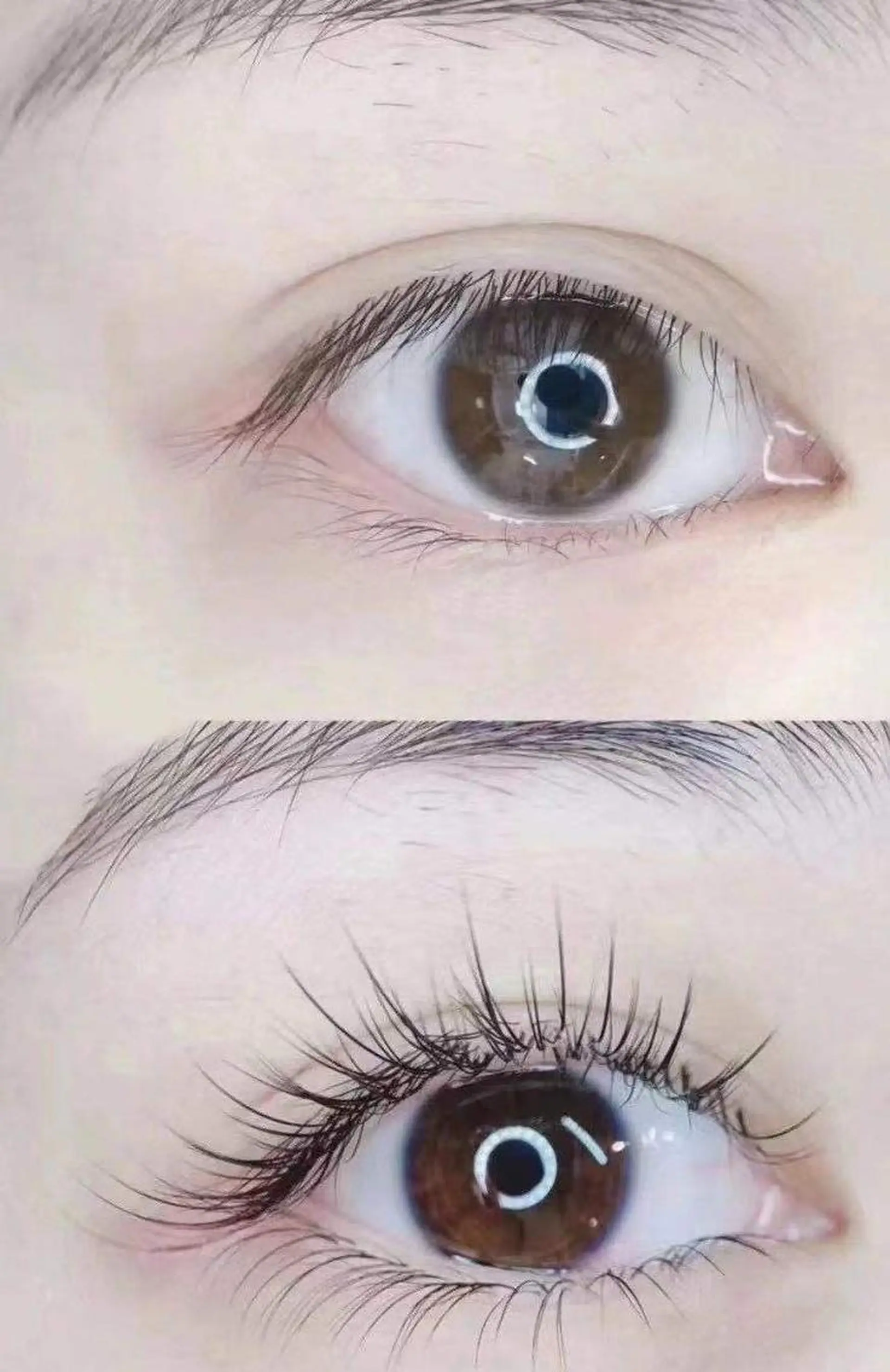 マツエク・マツパ シ フのマツエク・マツパデザイン