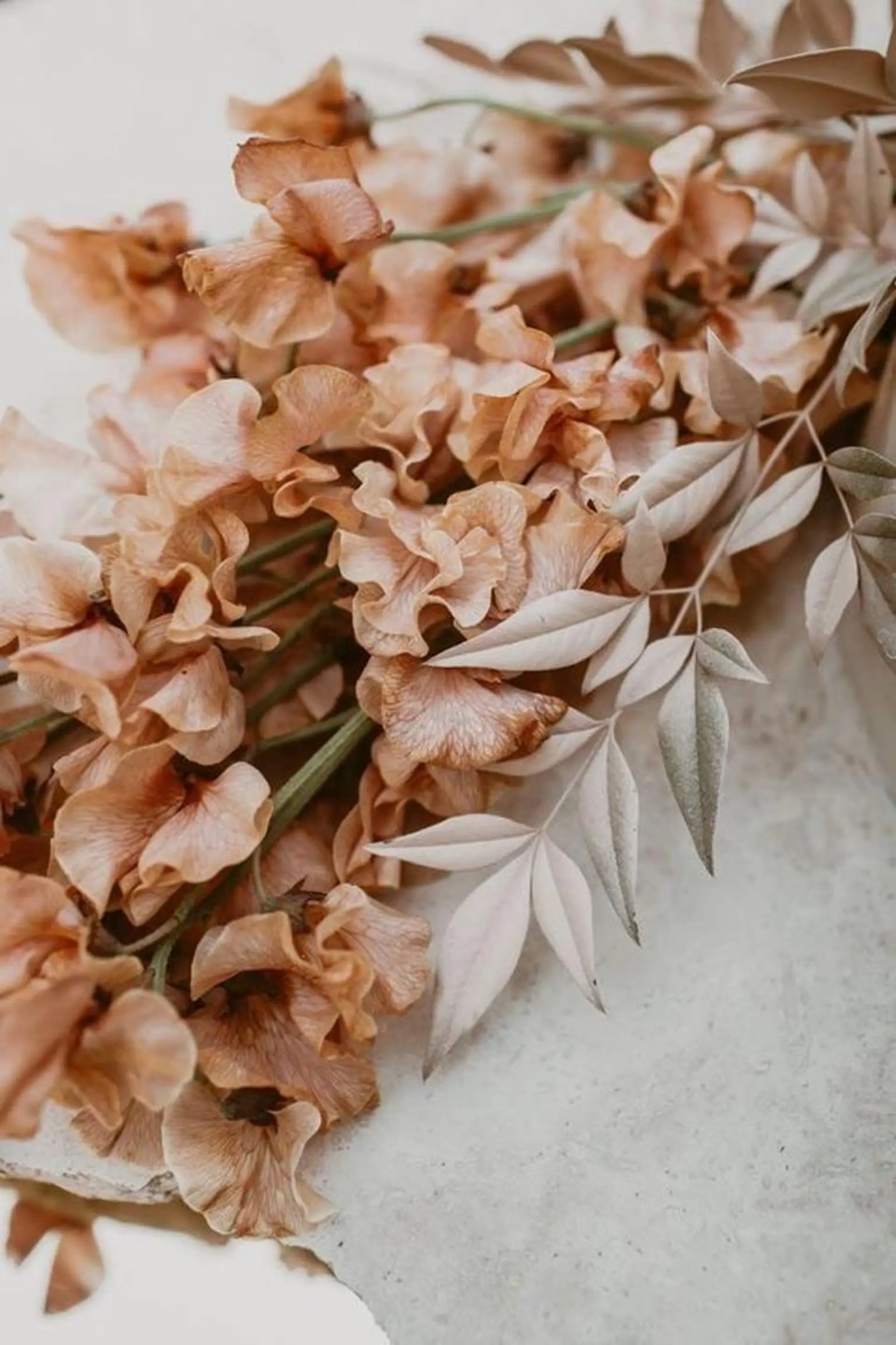 マツエク・マツパ more edge 表参道のマツエク・マツパデザイン