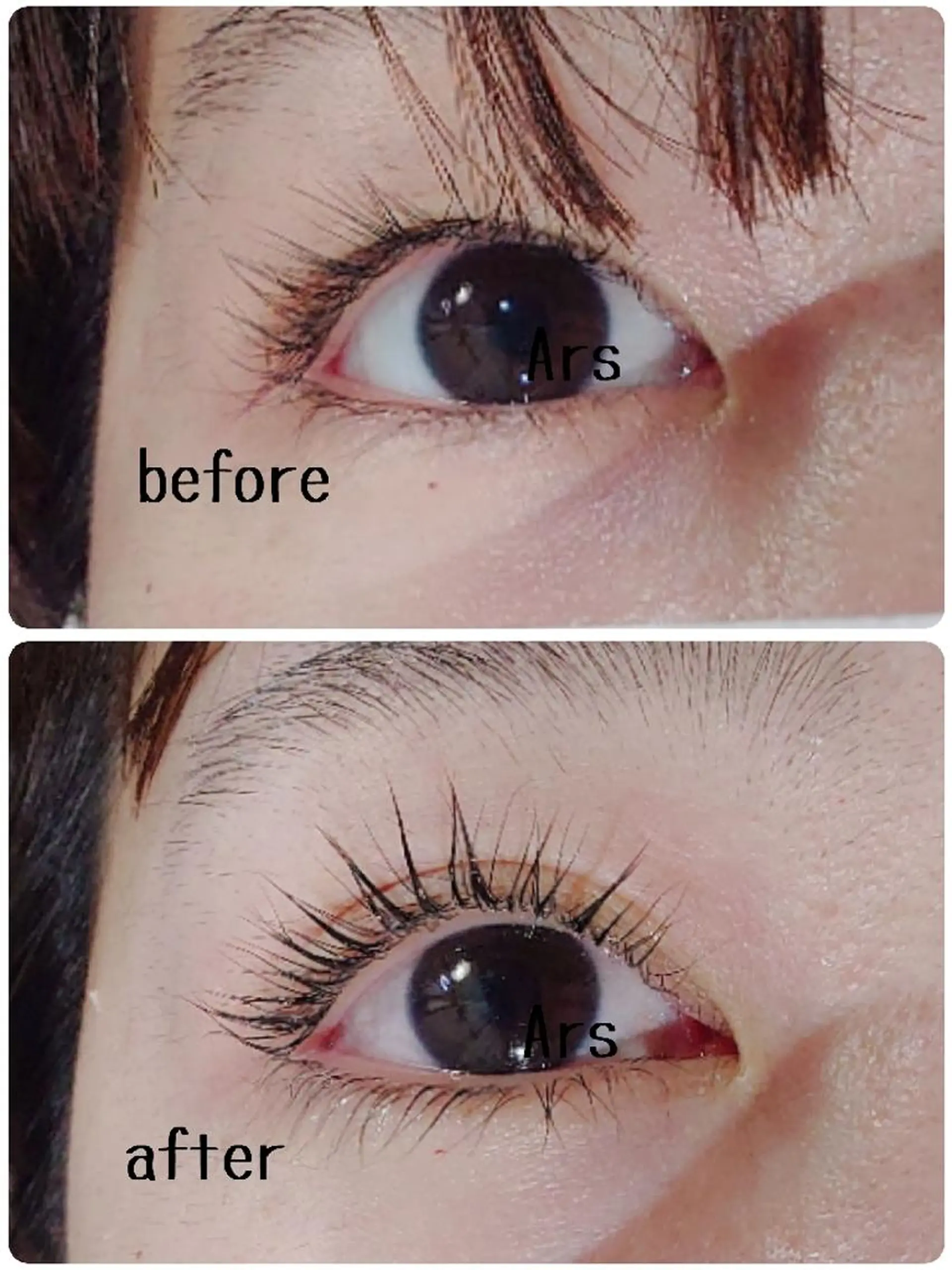 マツエク・マツパ アイリッドアップパーマ Ars  (ｱﾙｽ)所属・Ars      (ｱﾙｽ)のマツエク・マツパデザイン