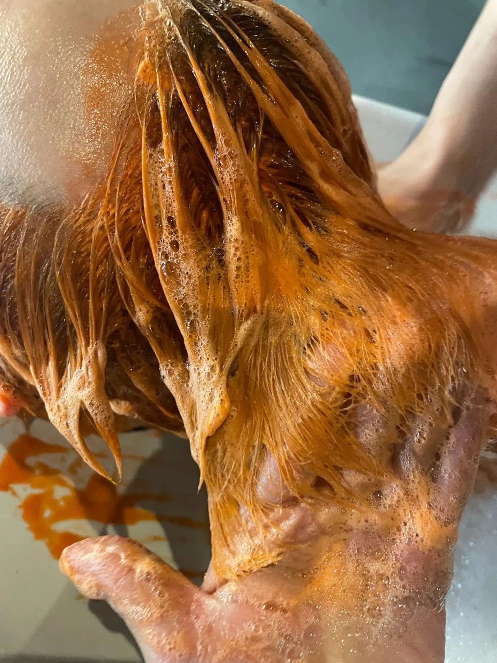 ショート カラー ヘアアレンジ 似合わせカラー / レイヤーMADOKAのヘアスタイル