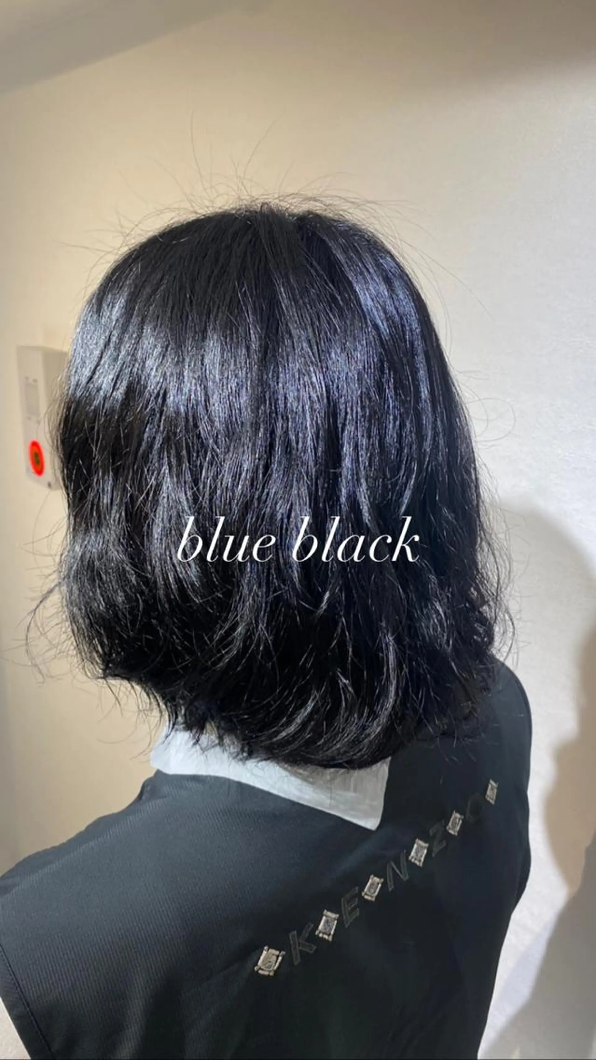 カラー 黒髪 ブリーチ ブルーカラー ブルーブラック ブリーチなしカラー ヘアカラー 縮毛矯正とレイヤー /杉村凜汰郎のヘアスタイル