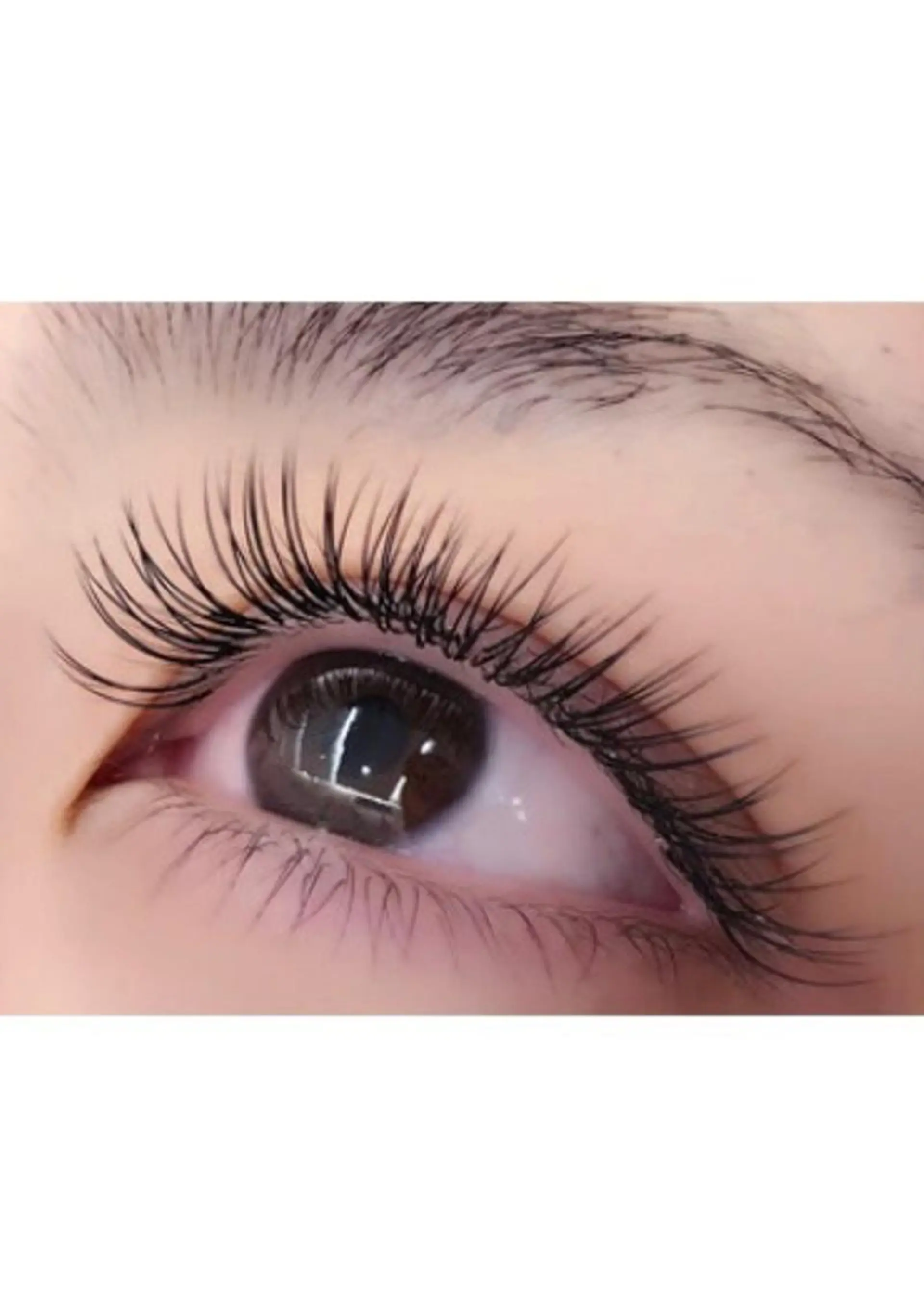 マツエク・マツパ マツエク ☆Rizz☆西船橋 川崎のマツエク・マツパデザイン