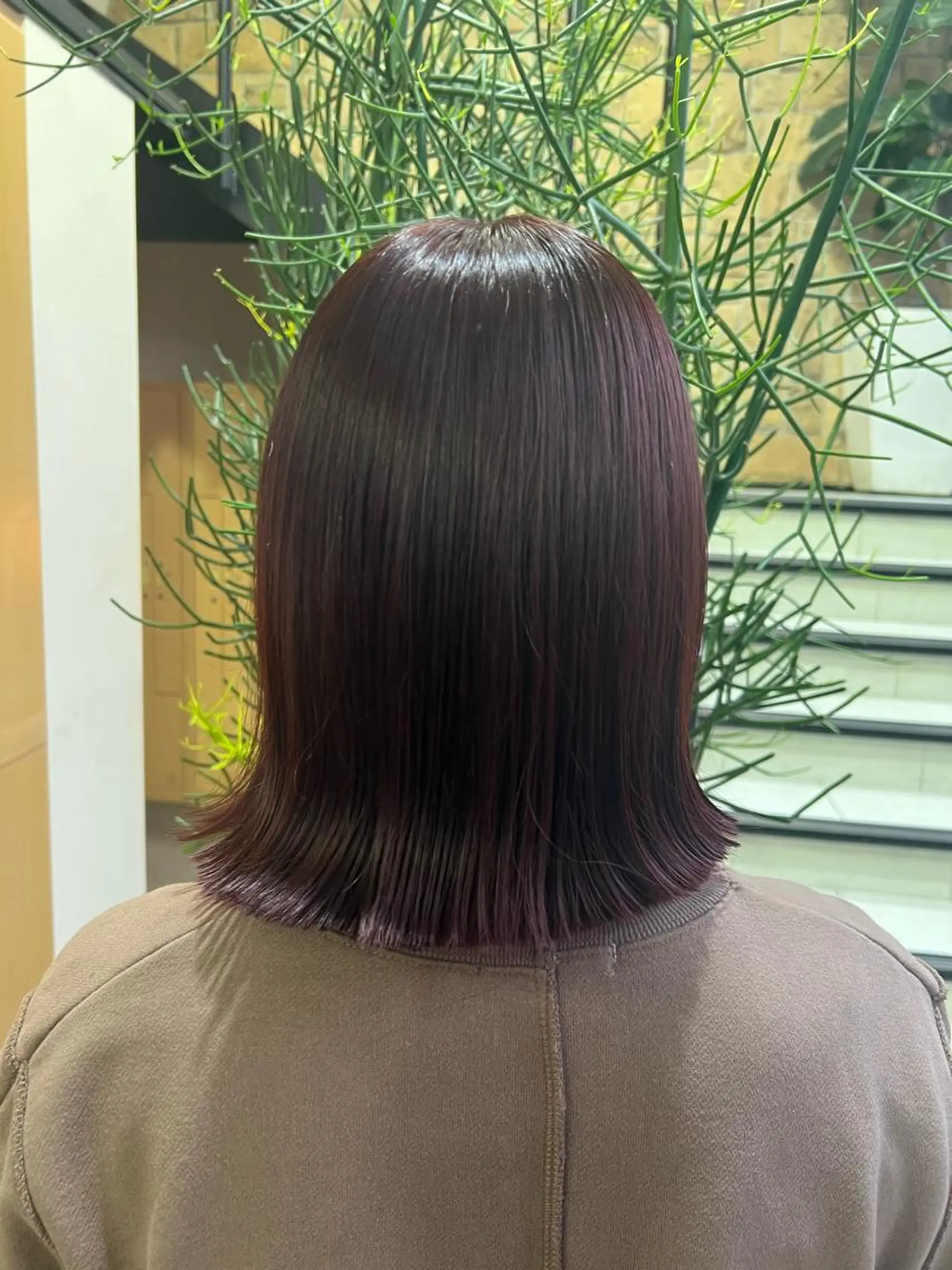 ミディアム 暖色ｶﾗｰ/ﾚｲﾔｰ ｶｯﾄ/Yunaのヘアスタイル