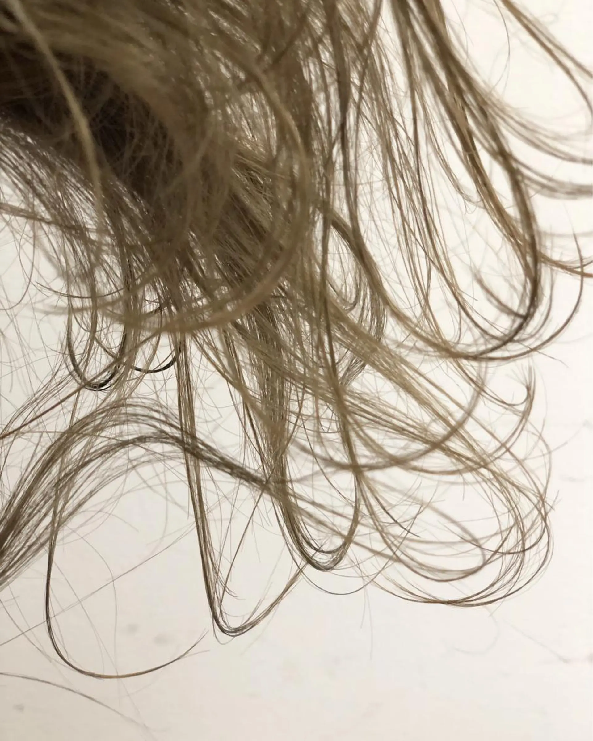 ショート カラー Tao所属・藤川 大智のヘアスタイル