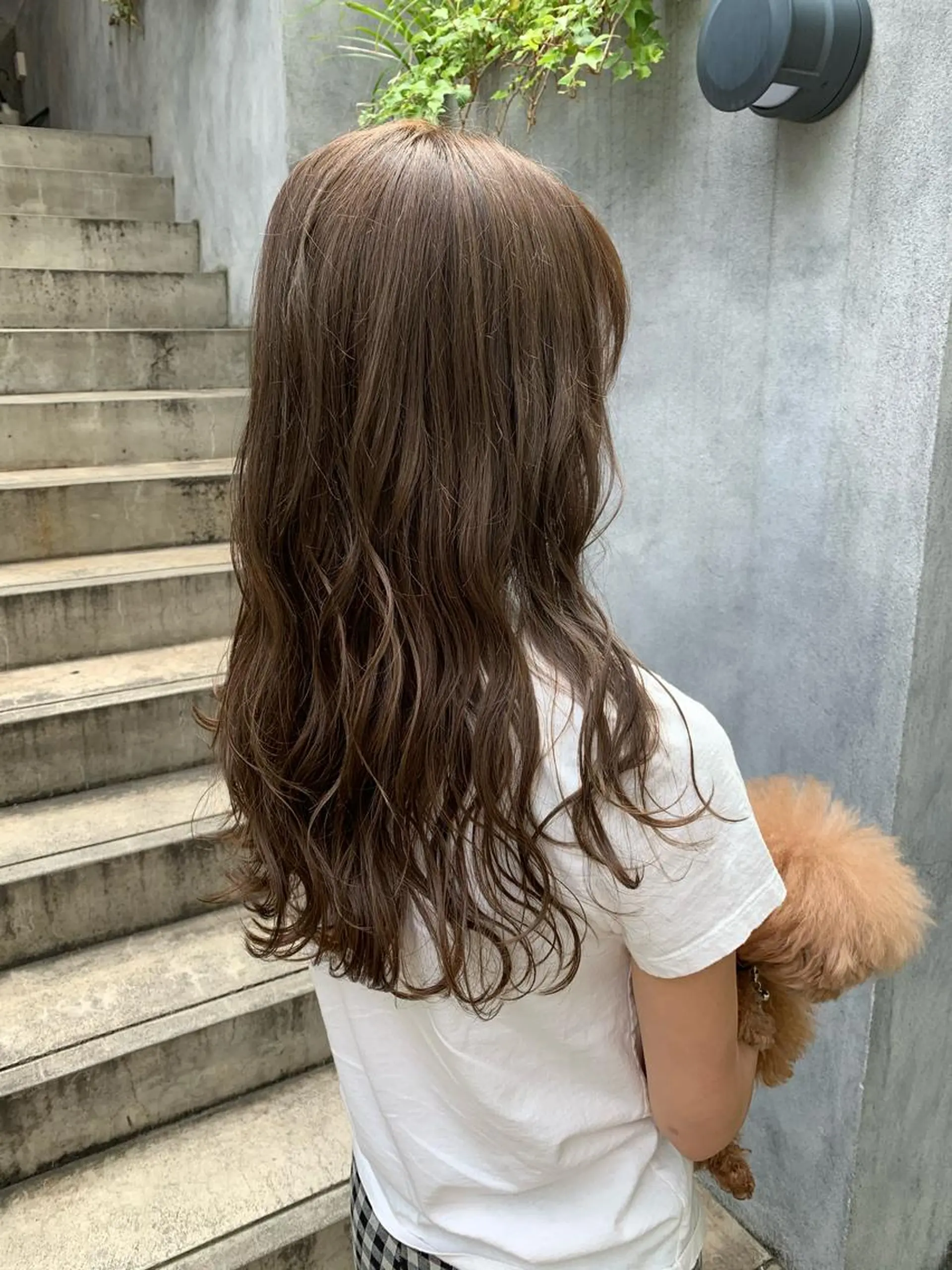 セミロング 外国人風カラー ハイライト 髪質改善 韓国風ヘア レイヤーカット ハリウッドブロウ LAID BACKの眉毛・アイブロウイメージ