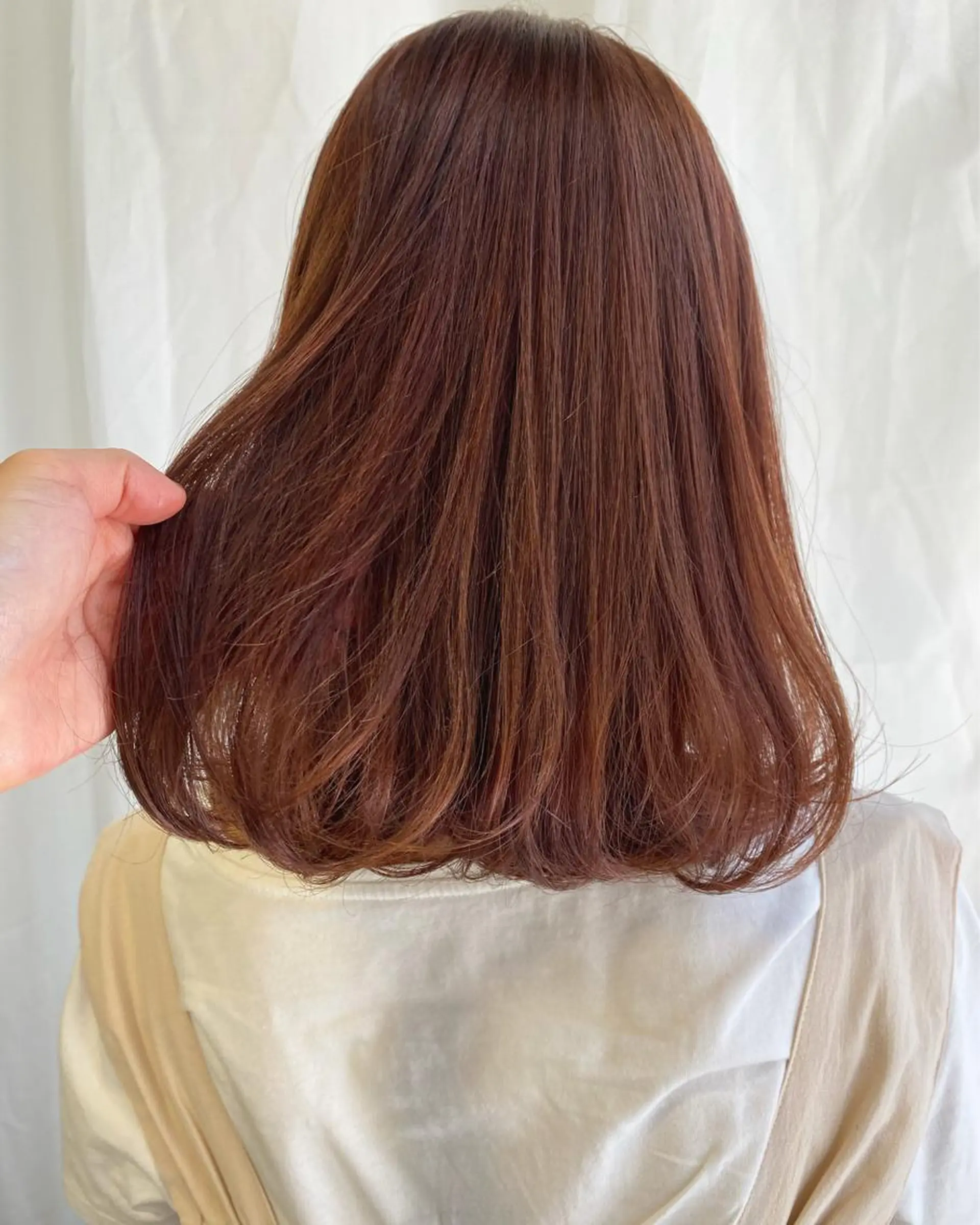 セミロング カラー ヘアカラー トリートメント 🎀taro ブリーチなしカラーのヘアスタイル