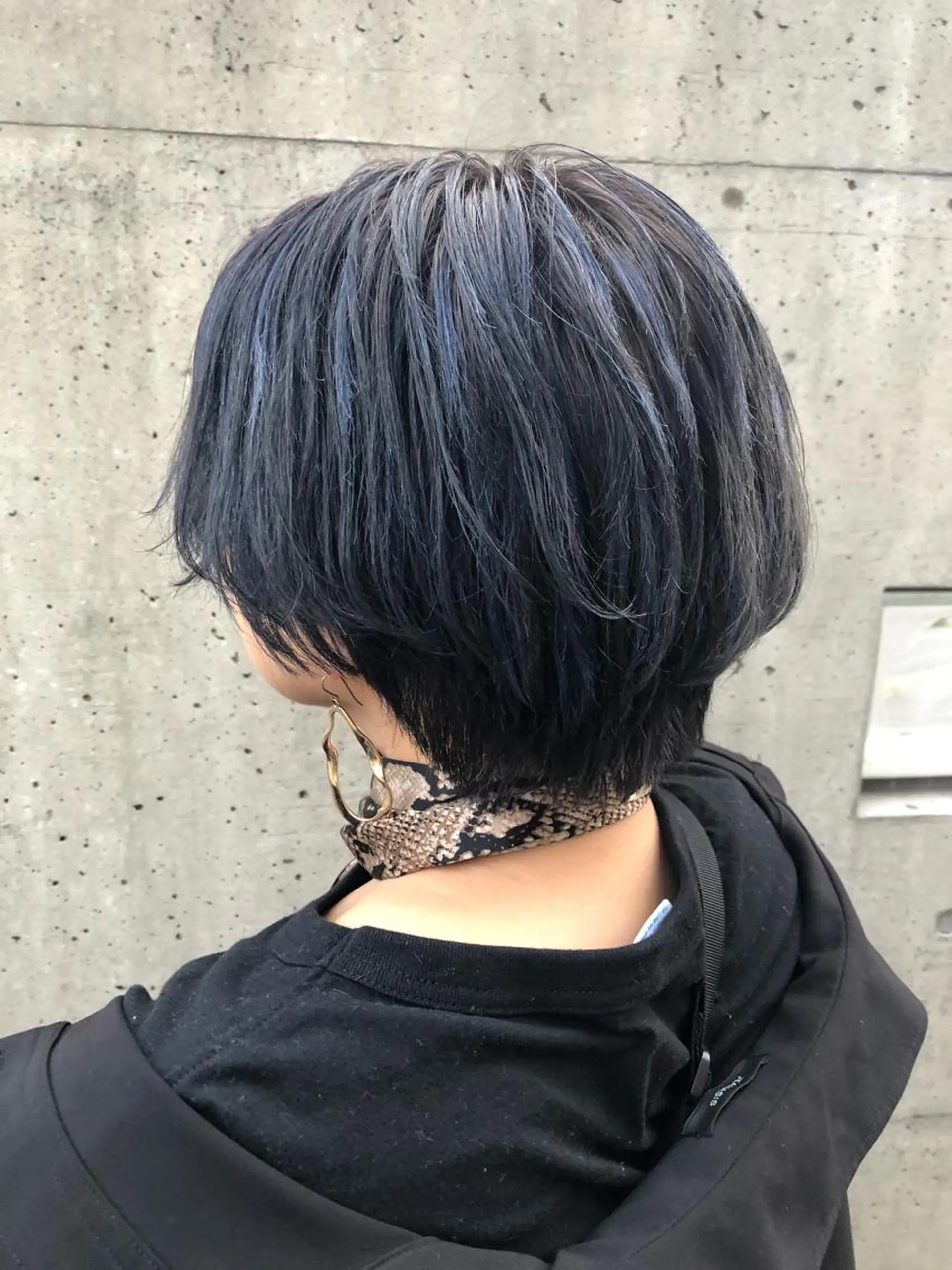 ショート カラー ハイライトカラー ネイビーカラー ハイライト SALOWIN並木所属・韓国ヘア🇰🇷 有田裕也のヘアスタイル